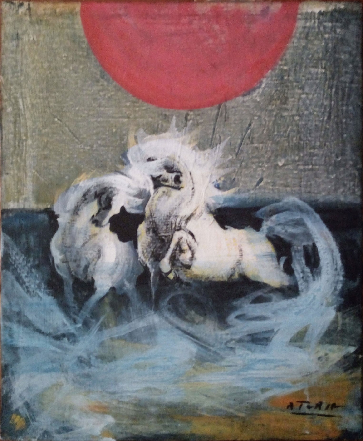 Angelo Turin - Cavalli