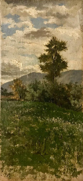 Attribuito a Telemaco Signorini - Campagna di Settignano