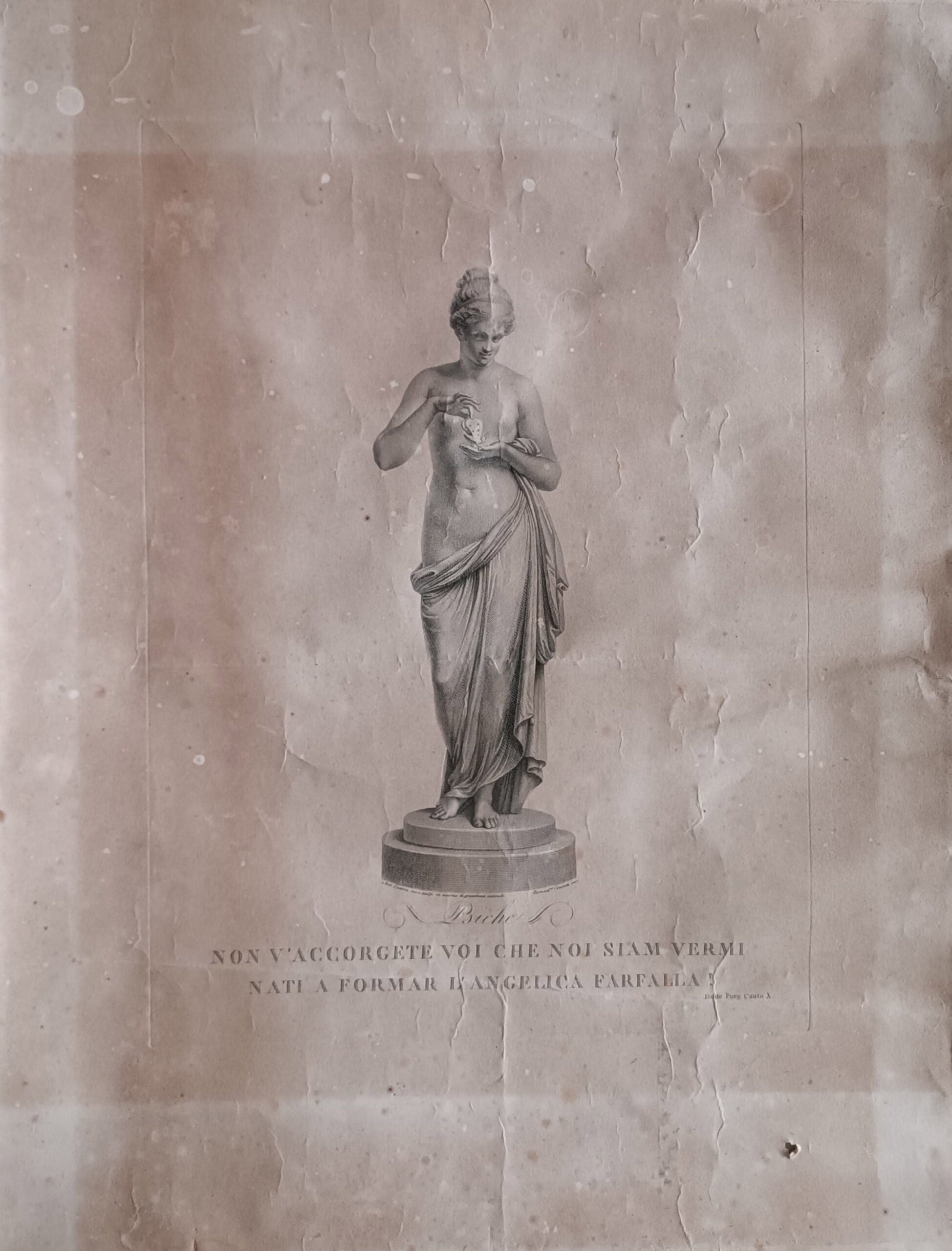Bernardino Consorti - Psique