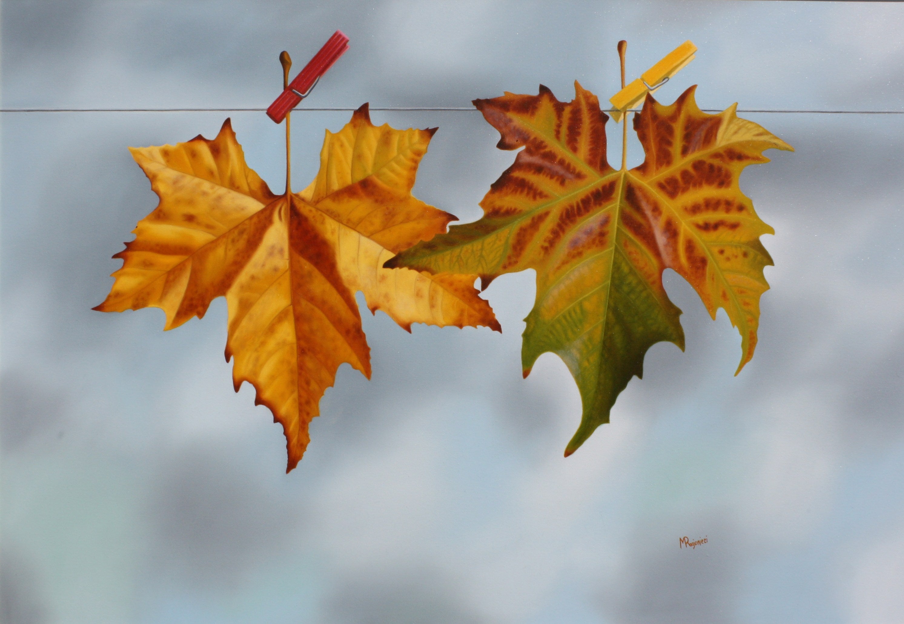 Ragionieri Massimo - Autunno