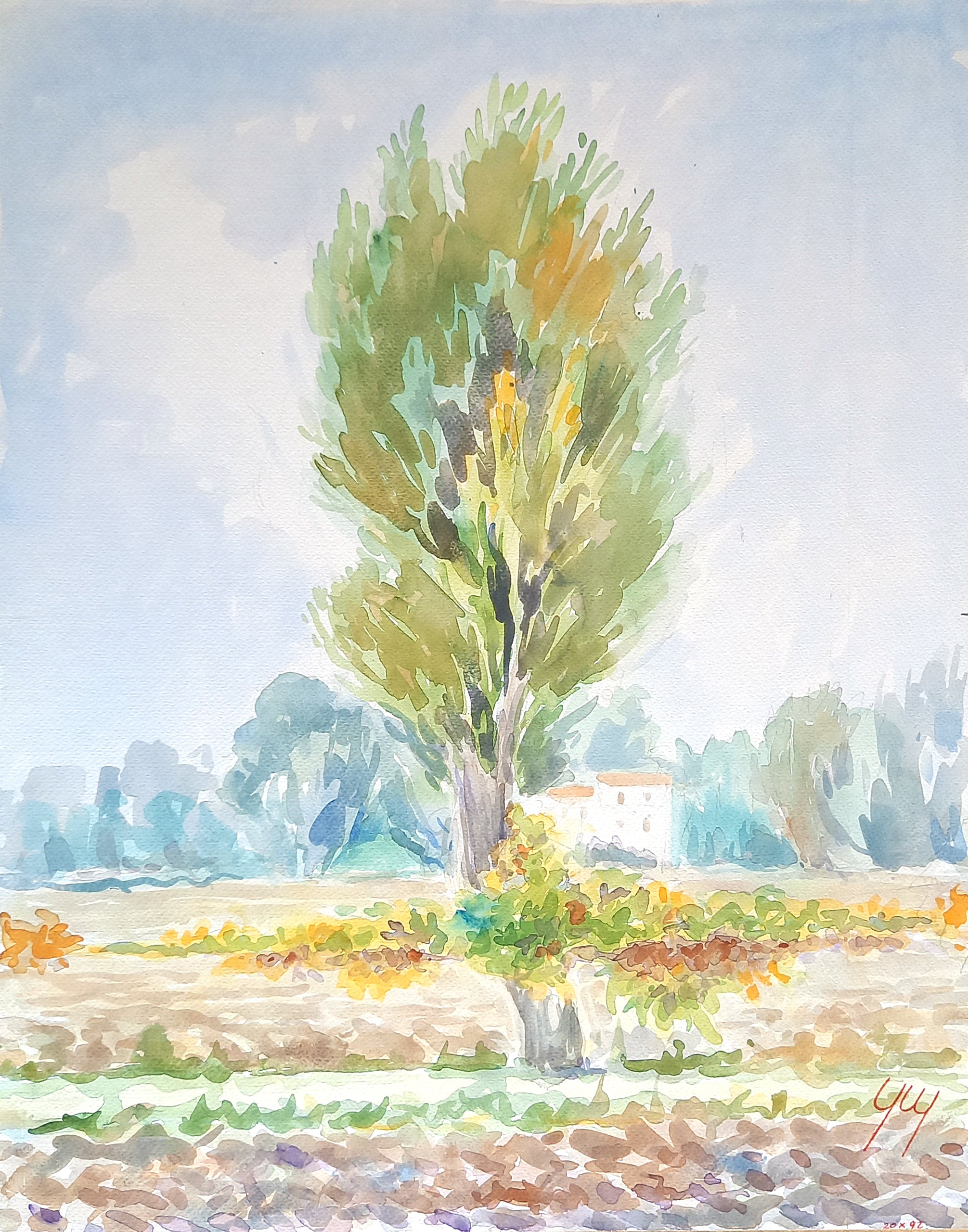 Giorgio Marinelli - En el campo