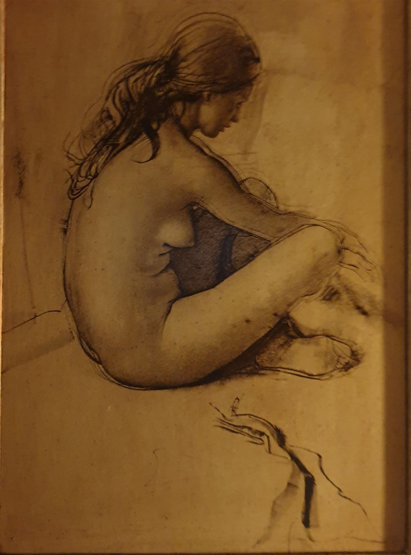 Pietro Annigoni - Untitled