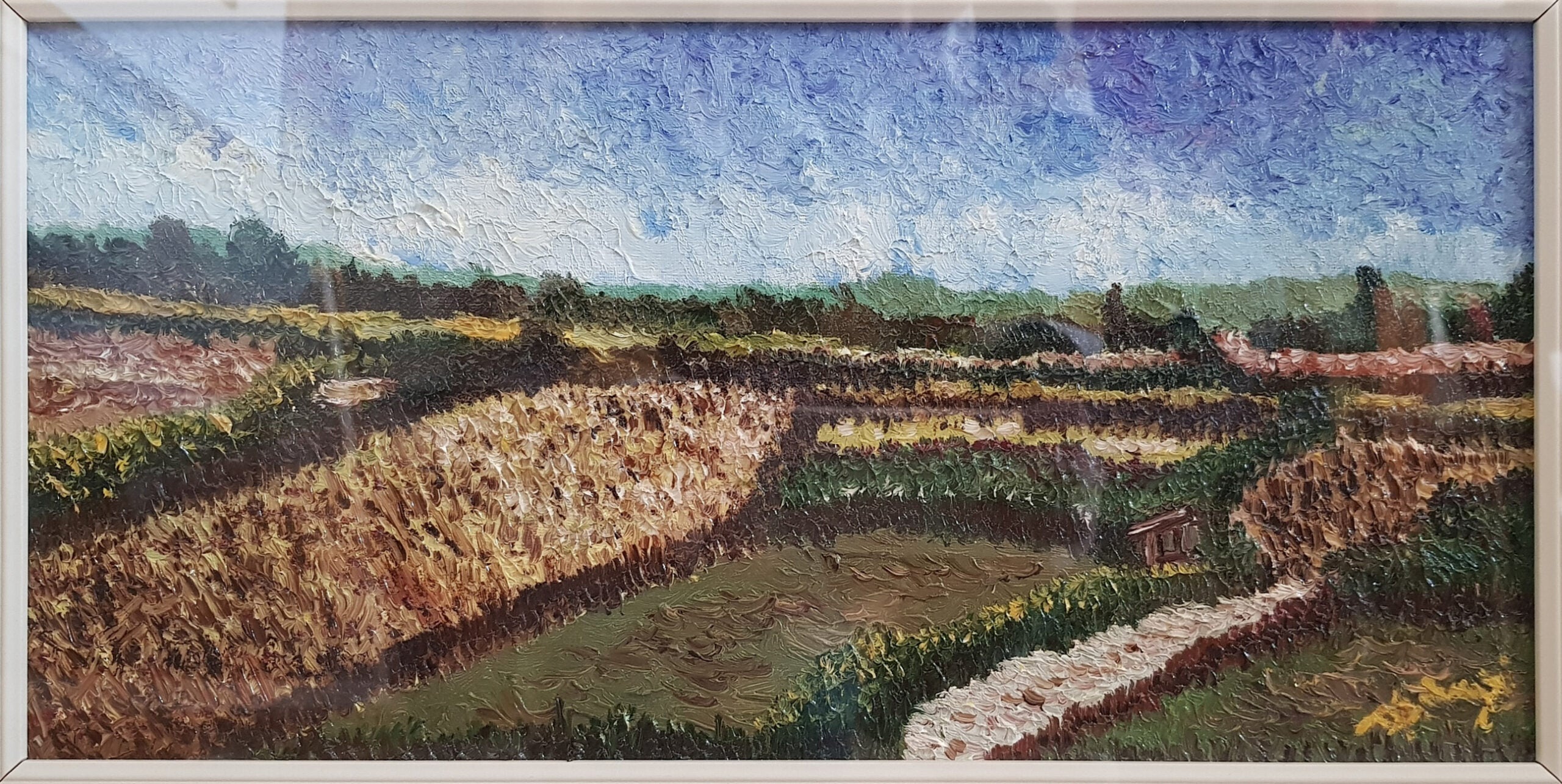 D. Ardegni - Senza titolo