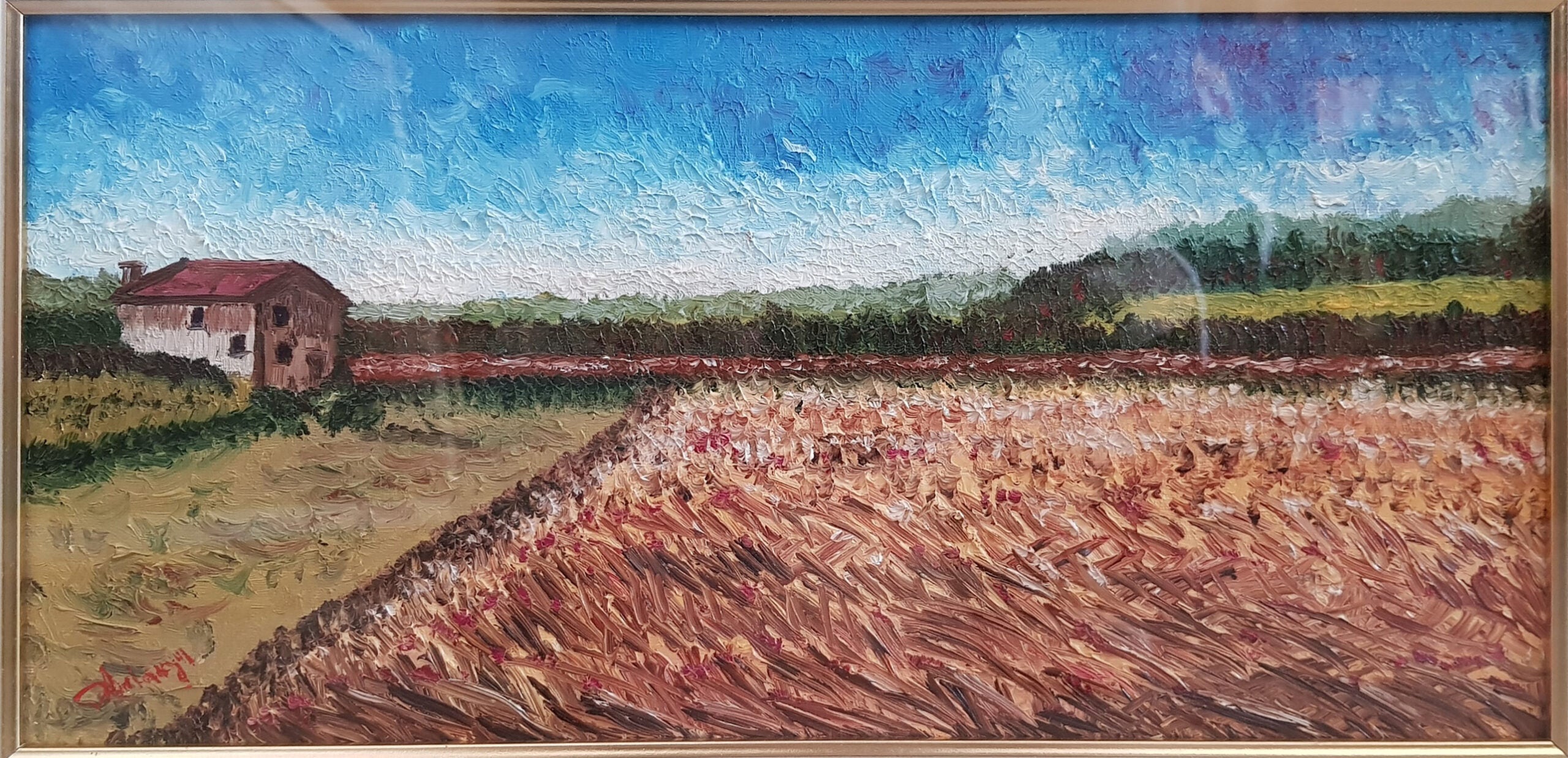 D. Ardegni - Senza titolo