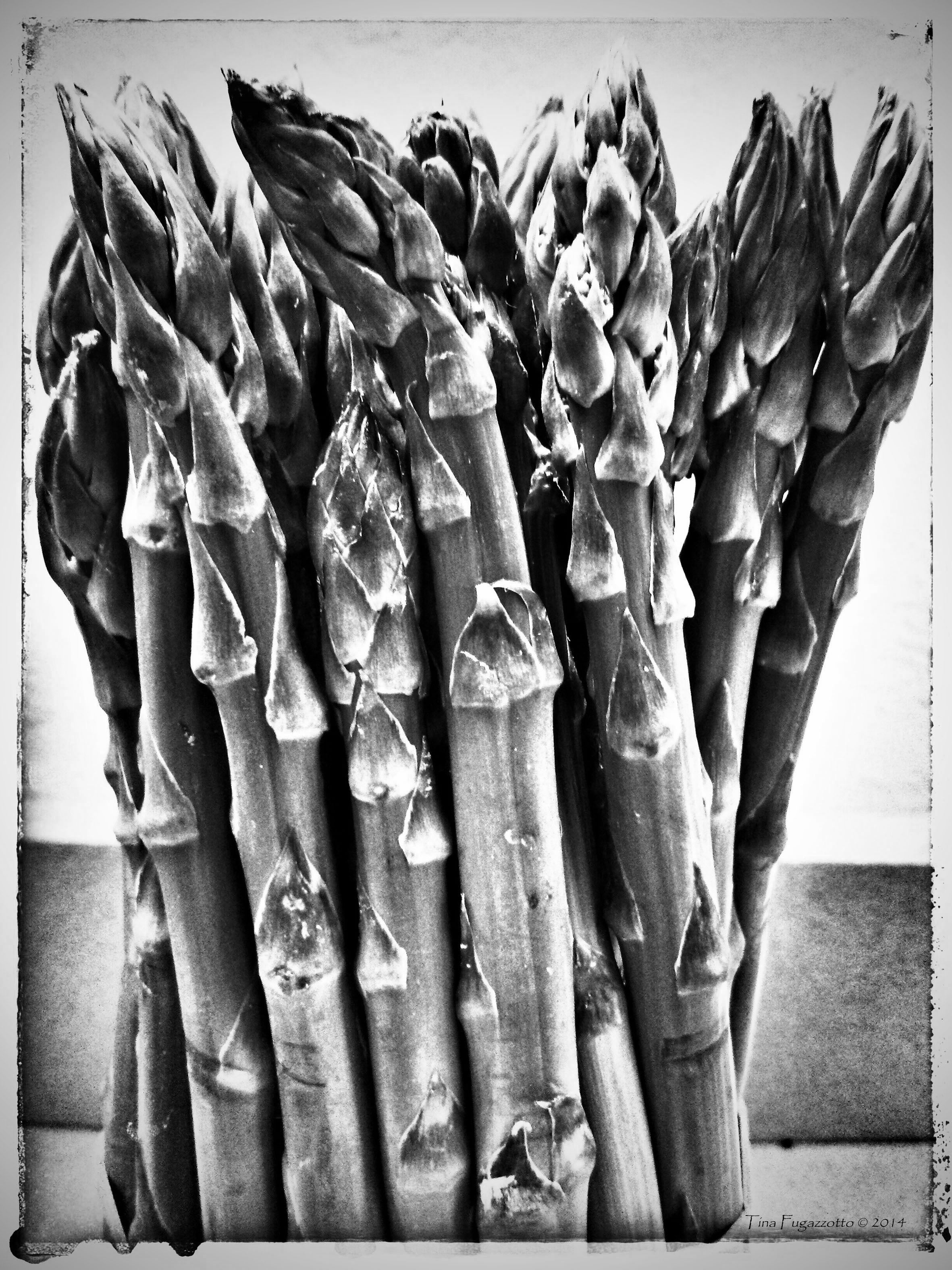 Tina Fugazzotto - Asparagus
