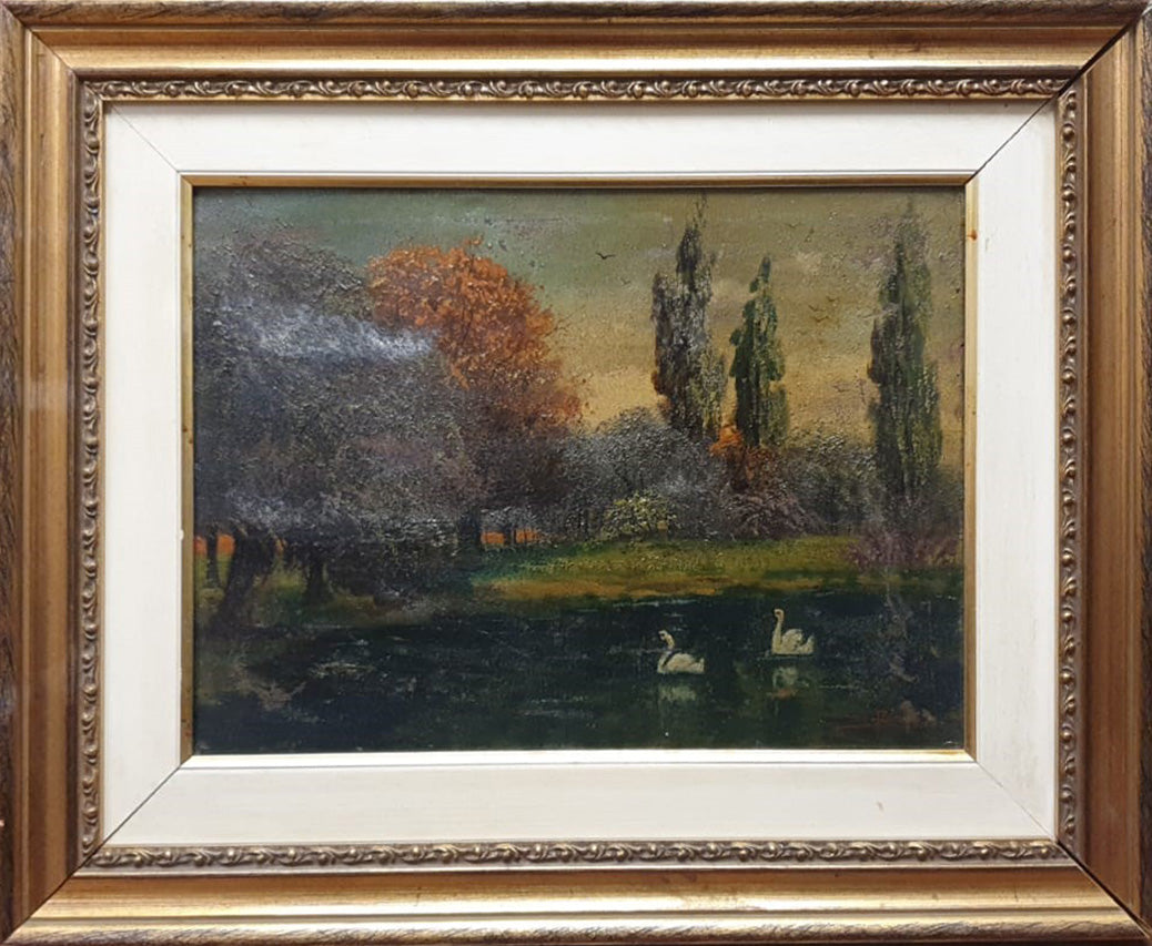 Barison - Paisaje del lago