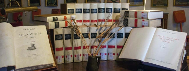 Grande Dizionario della Lingua Italiana Salvatore Battaglia - Utet (24 Volumi)