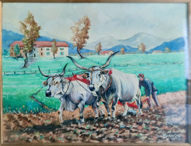 Bianchi - Senza Titolo (Aratura)