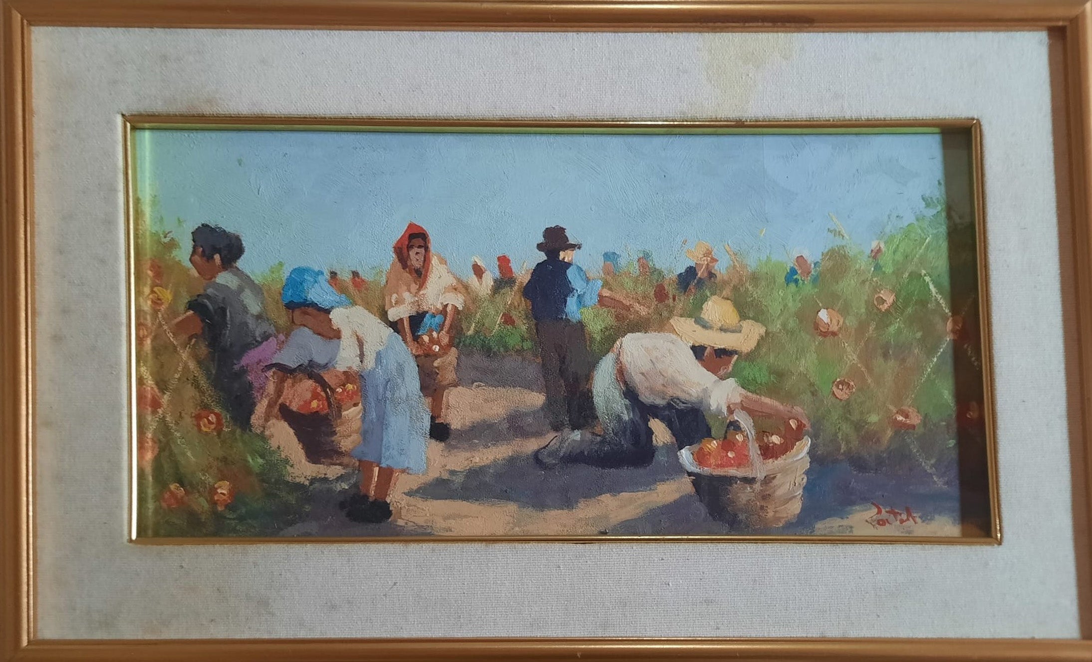 Ennio Tortoli - Tomato Harvest