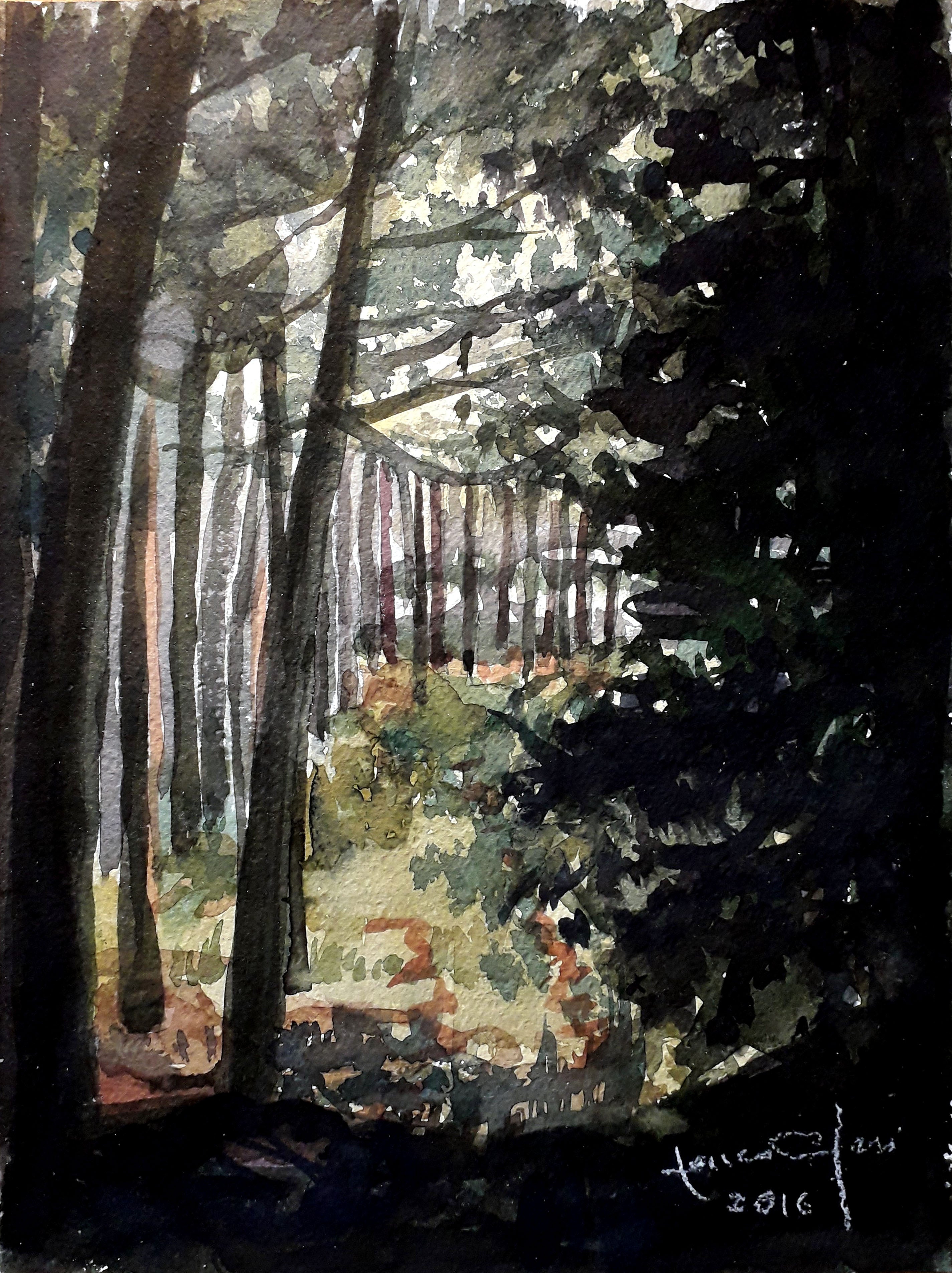 Franco Neri - Bosque del Po