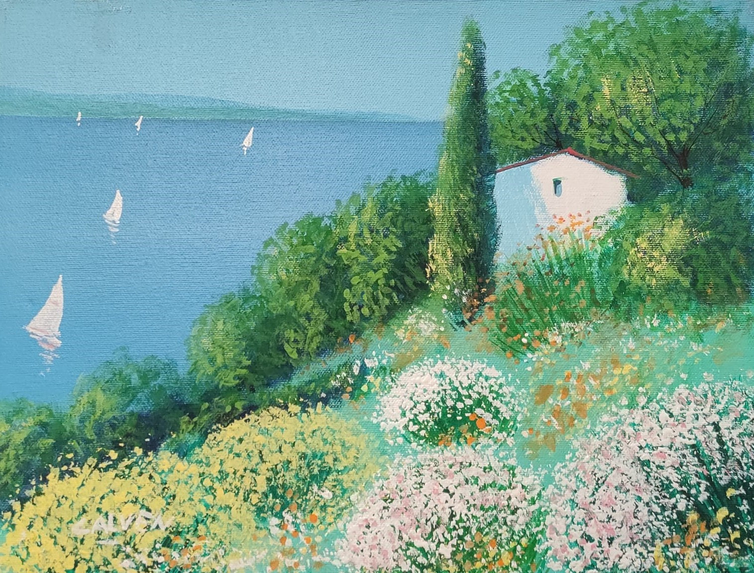 LANDSCAPE - FELI CALVEN