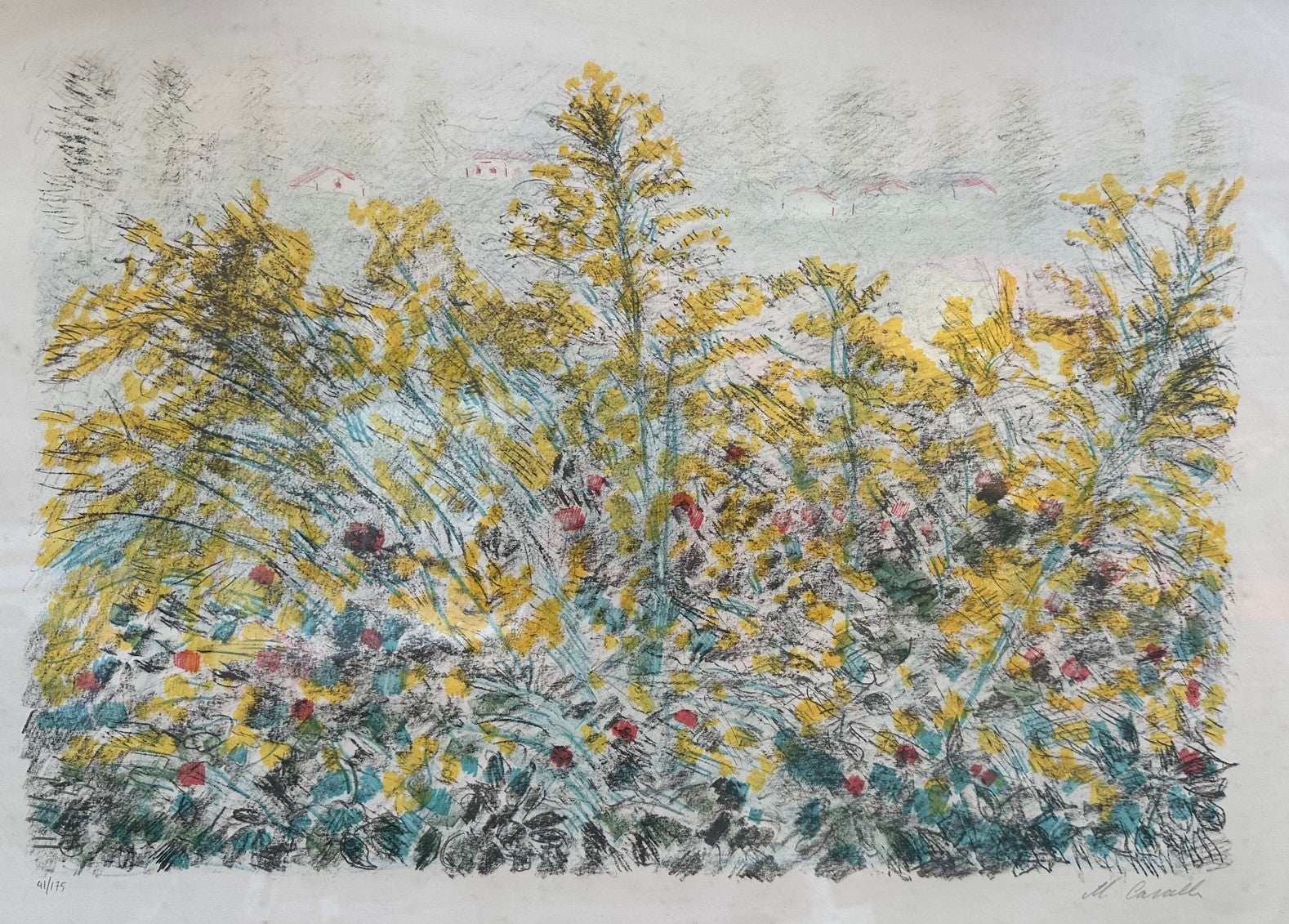 MIMOSA - MICHELE CASCELLA