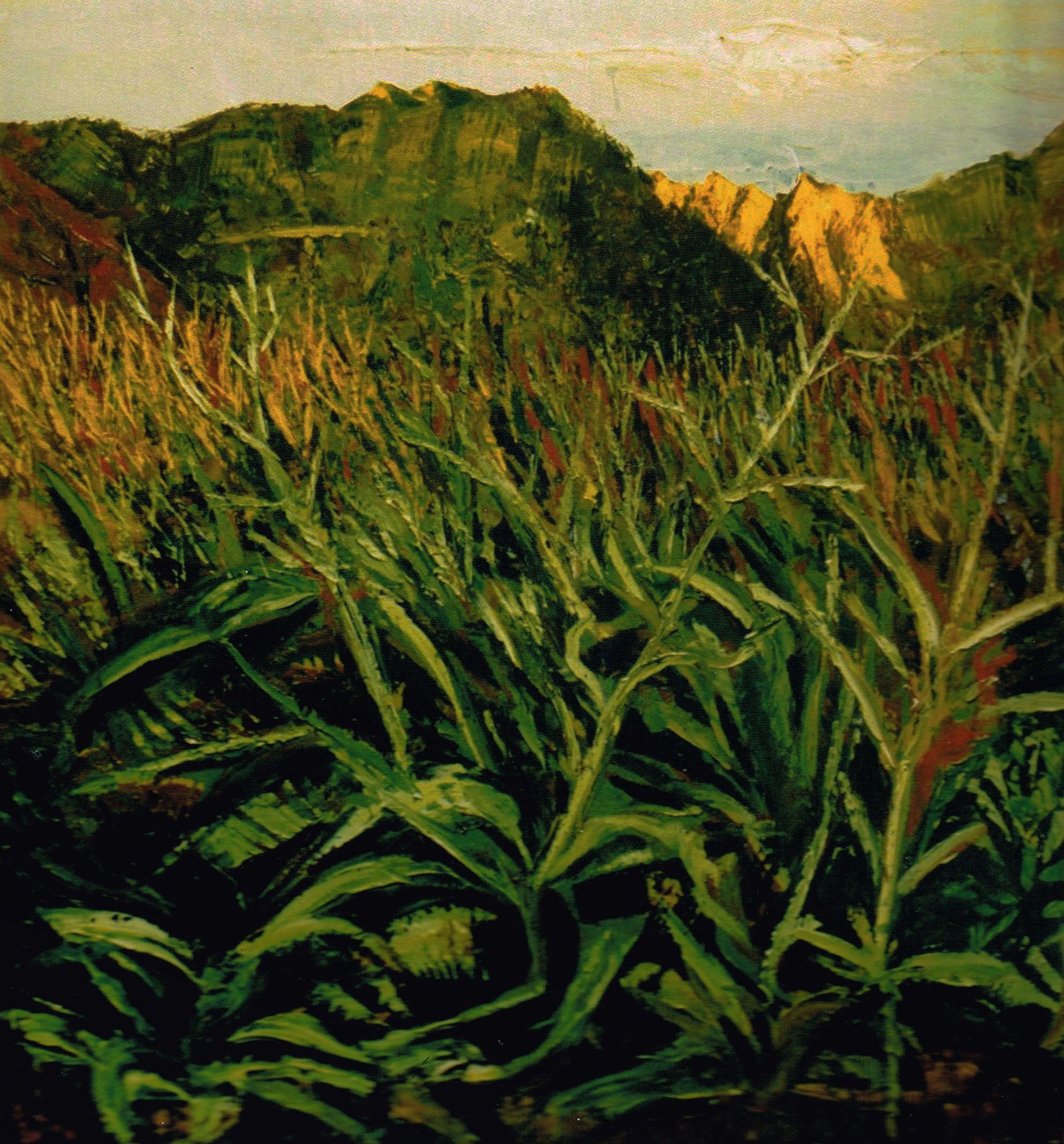 Gilberto Carpo - Bush 1