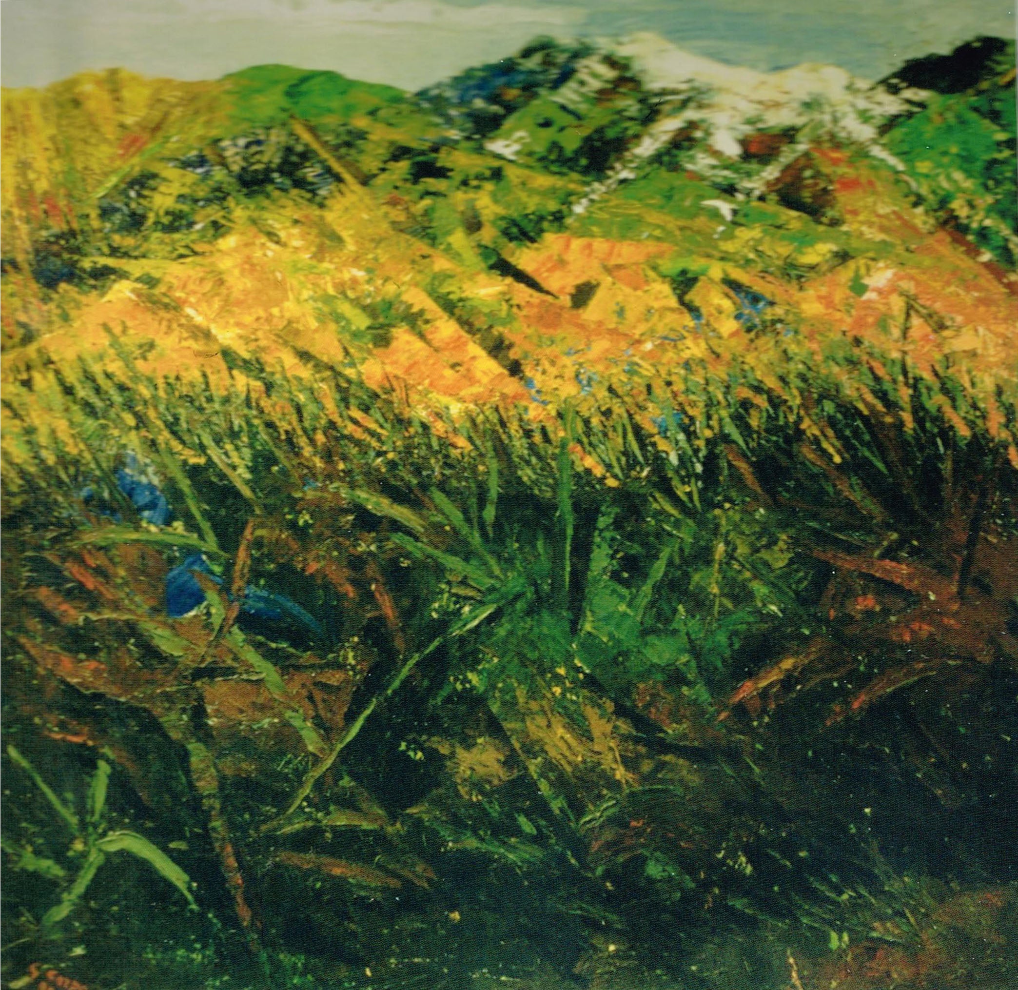 Gilberto Carpo - Bush 2
