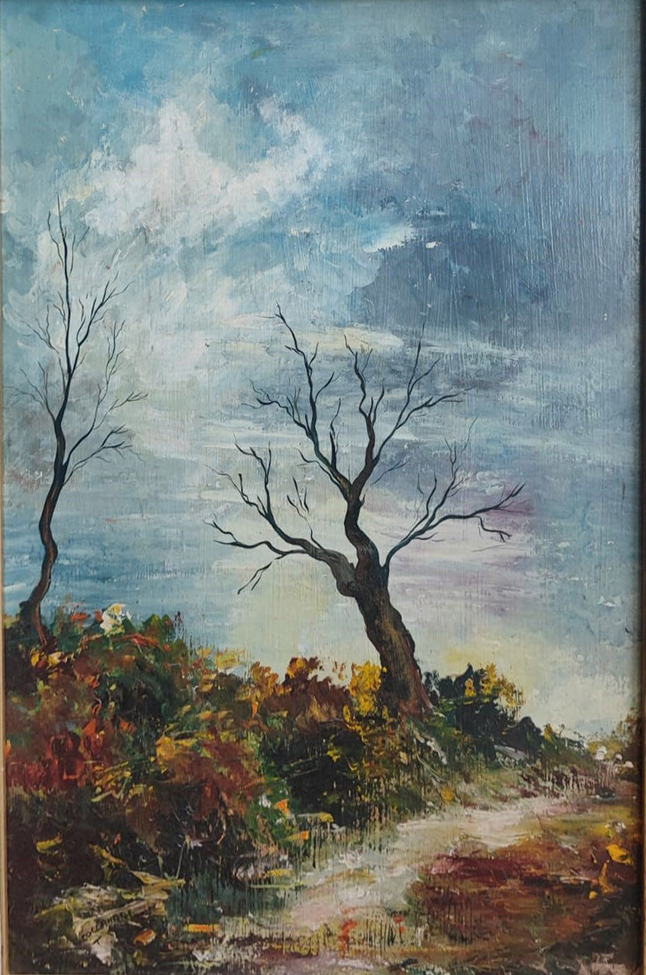 Cocconari - Paisaje
