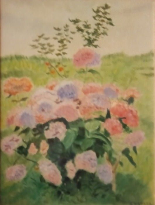Nazareno Cugurra - Arbusto de hortensias en el macizo de flores