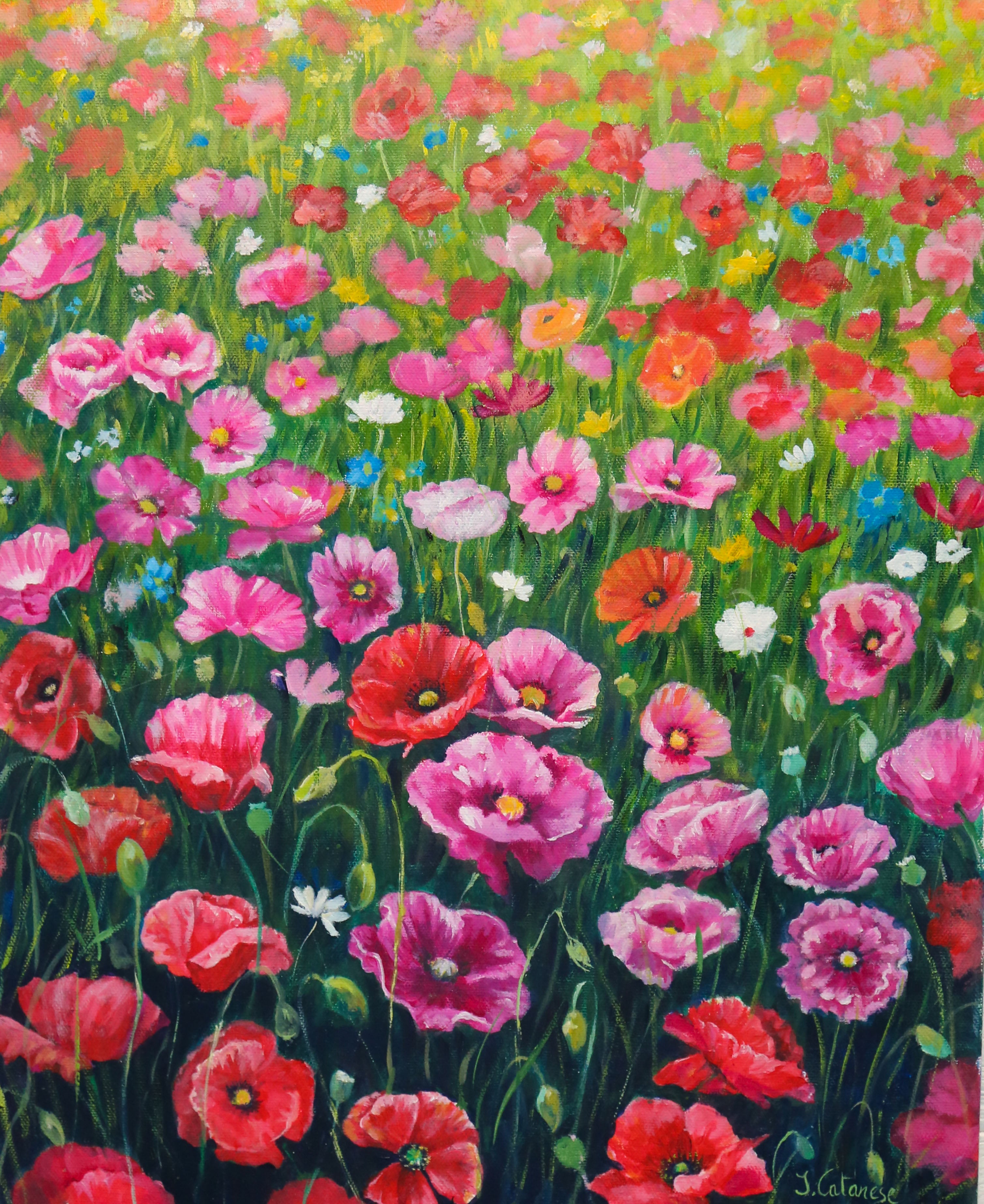 Isabella Catanese - Campo de amapolas