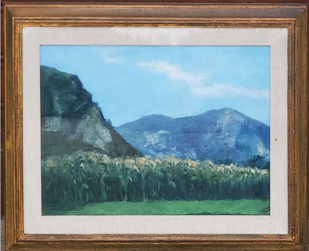 Alberto Ziveri - Campo de maíz