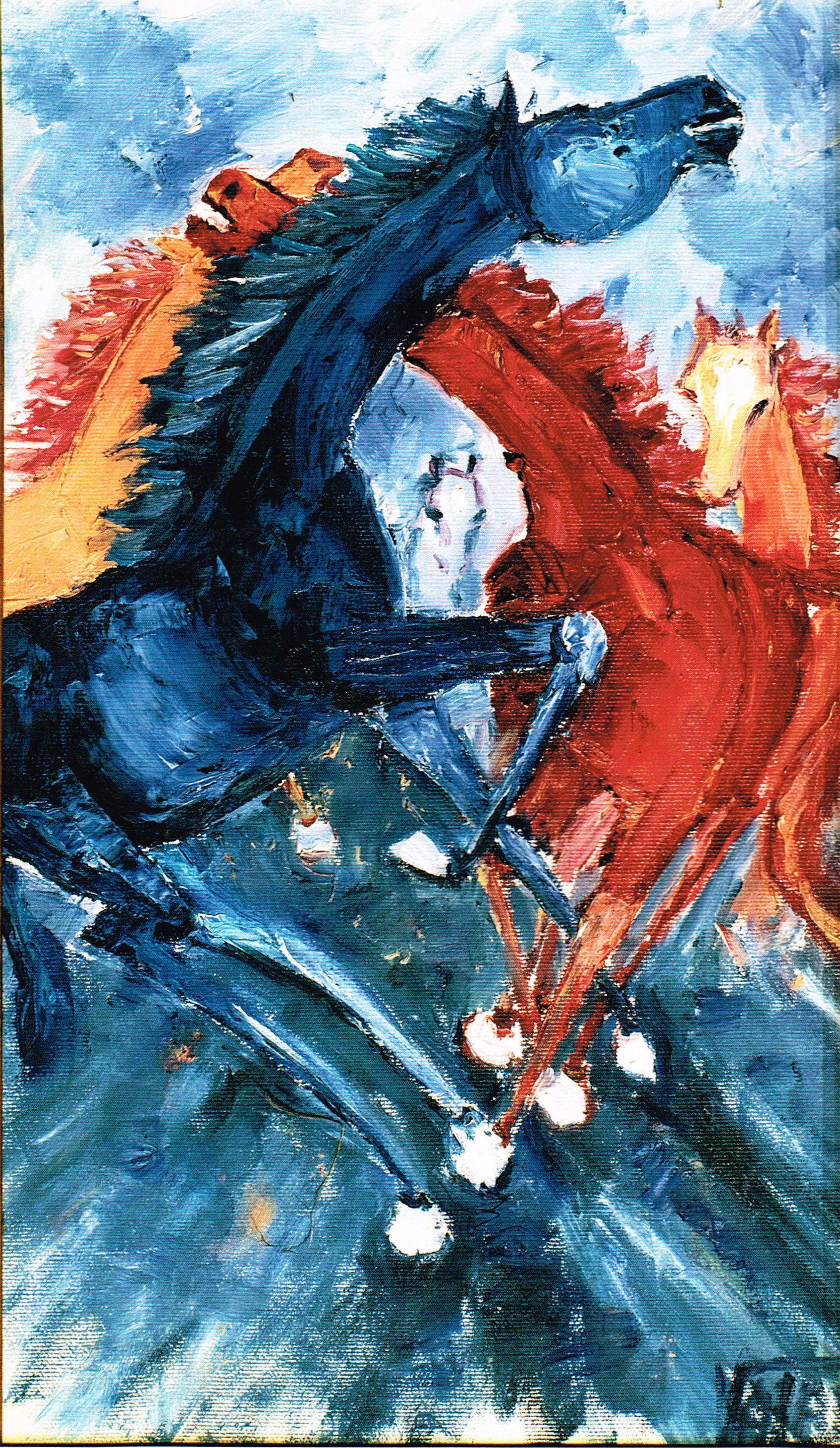 Valan - Cavalli