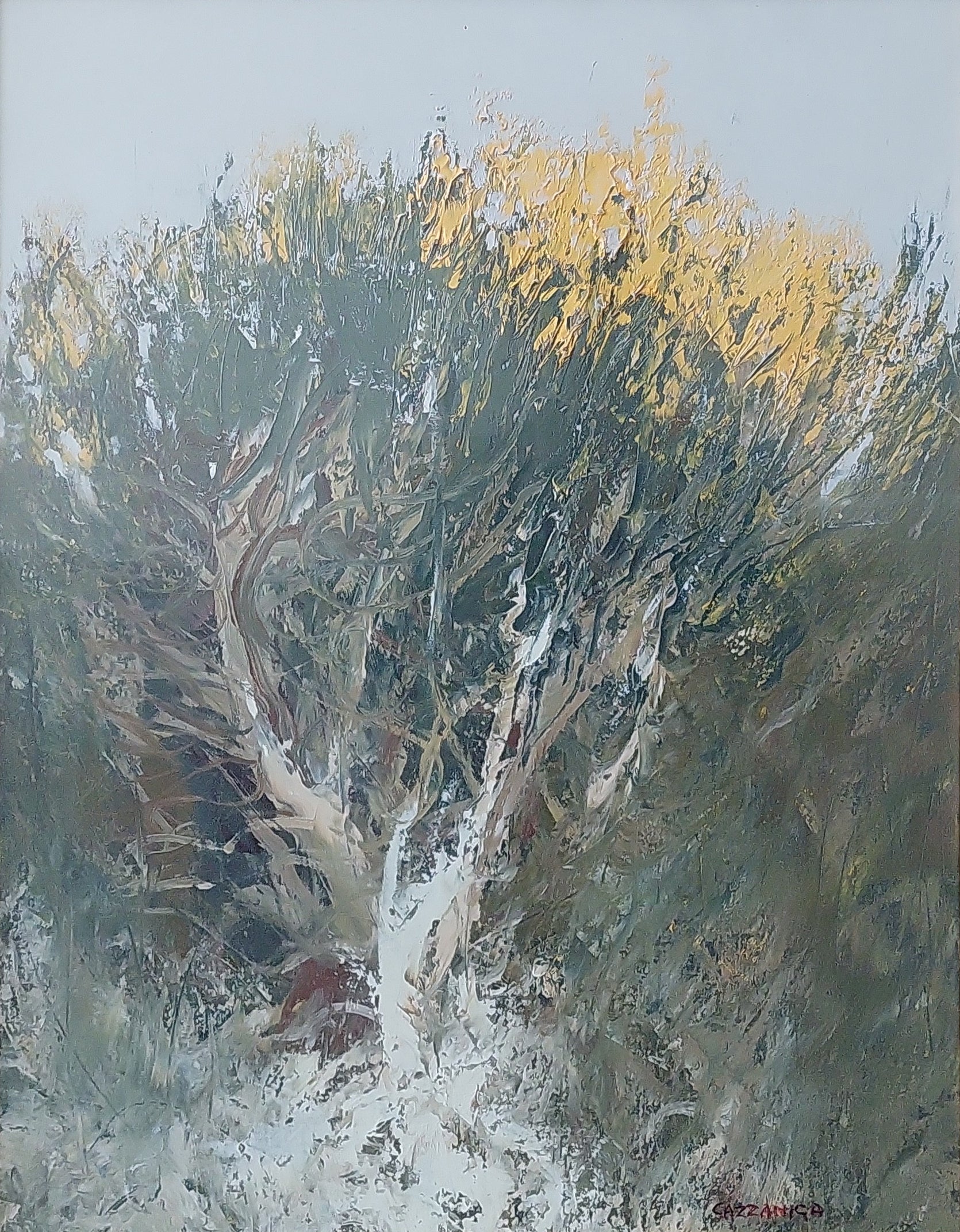 Giancarlo Cazzaniga - Broom