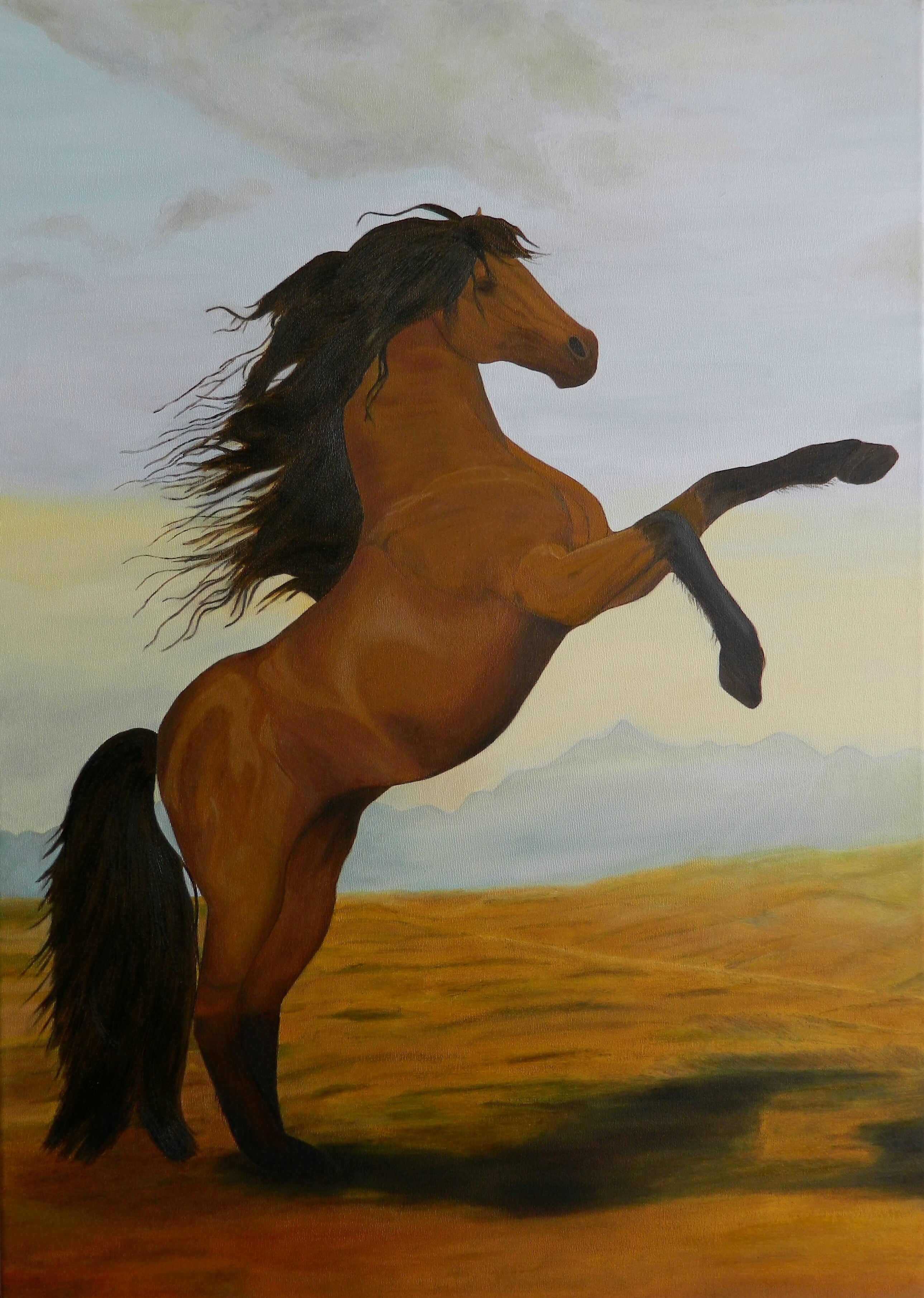Federica Bortolin - Wild at Heart