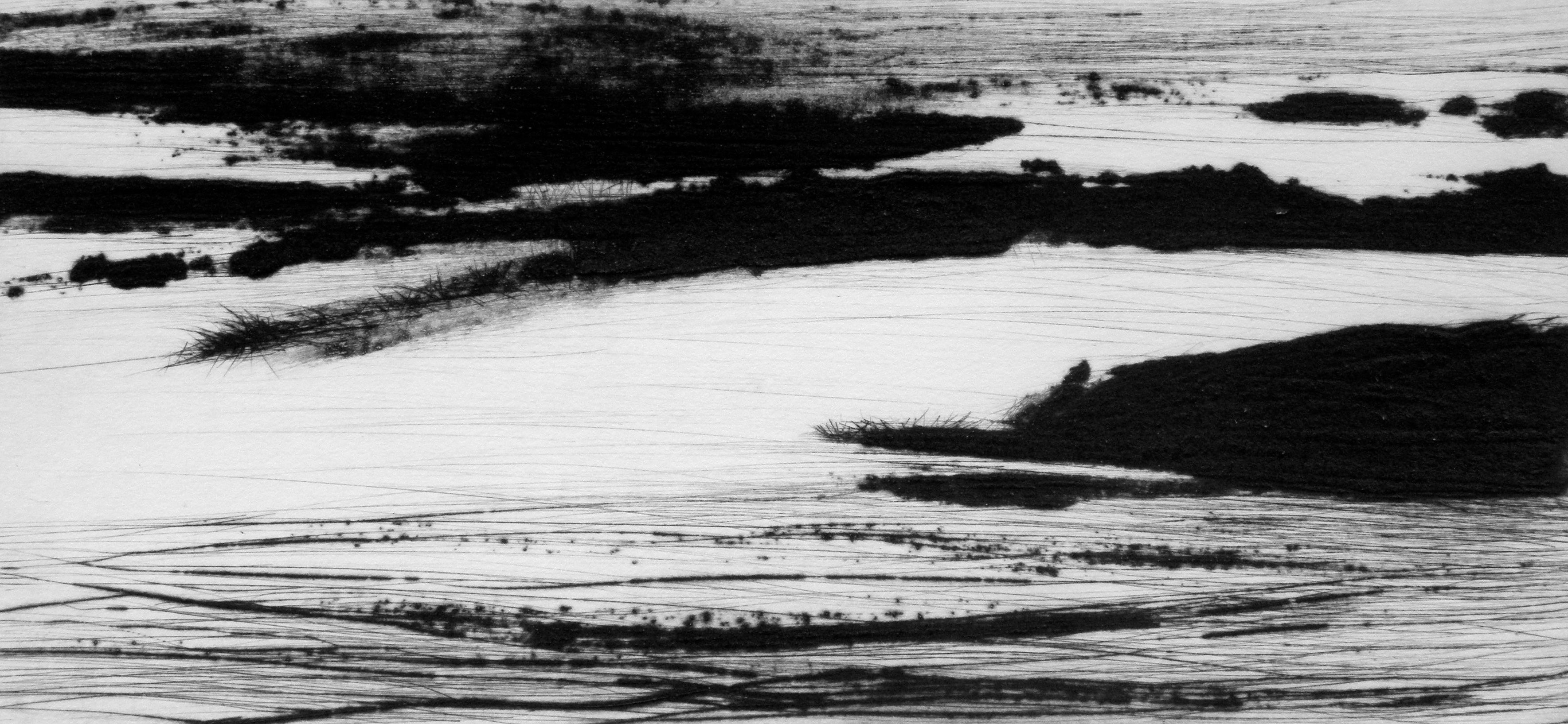 Graziella Da Gioz - In the Delta