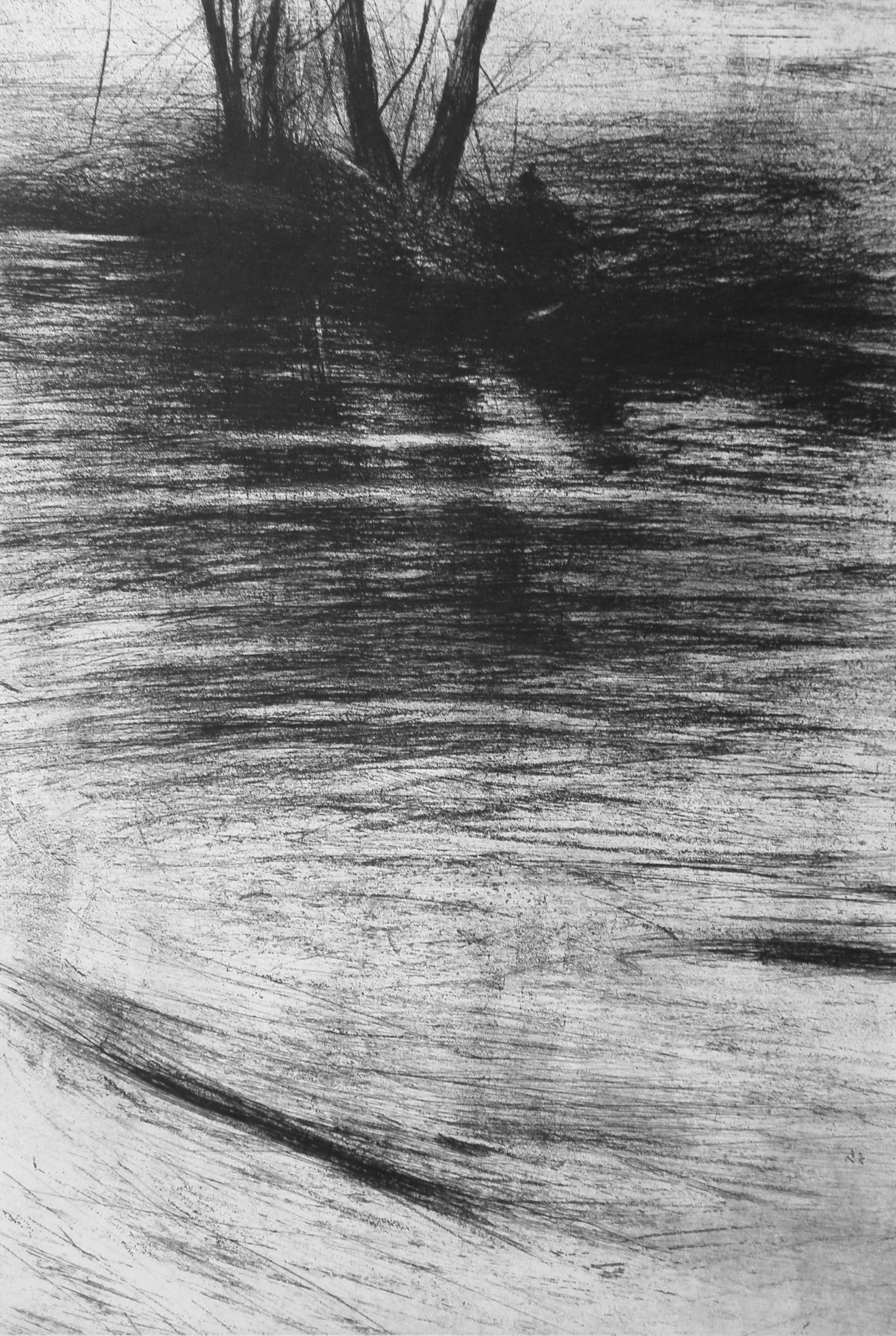 Graziella Da Gioz - Transparencies