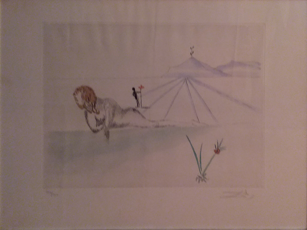 Salvador Dalí - Sin título