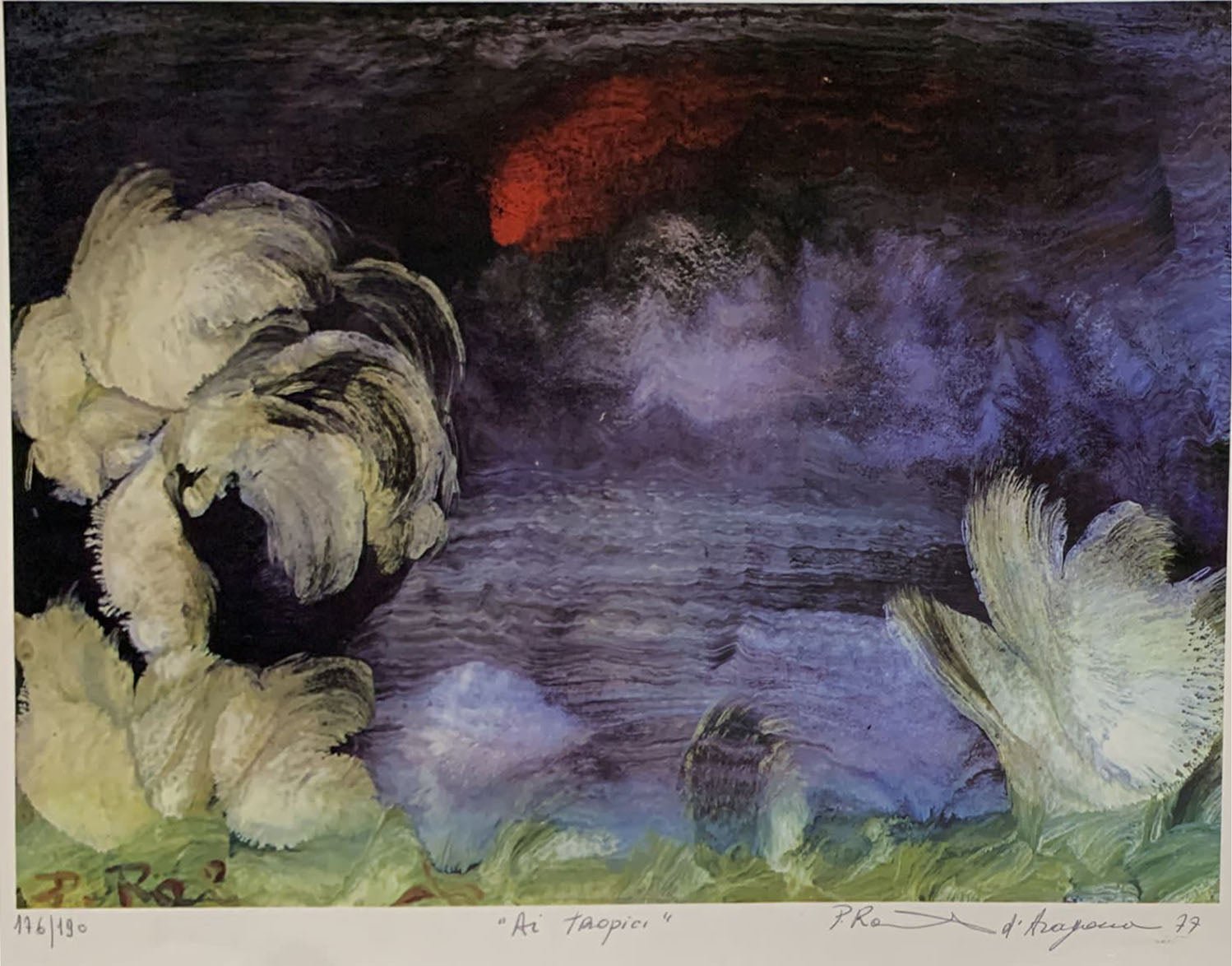 Peter Raimondo D'Aragona - En los trópicos