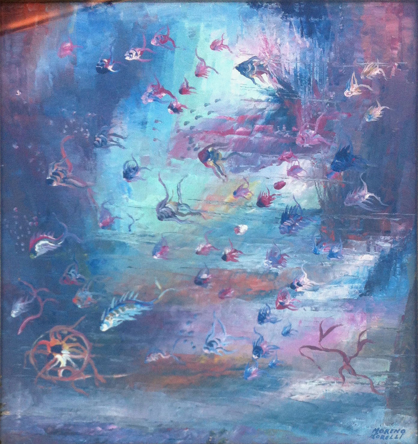 Moreno Morelli - Fauna Tropical