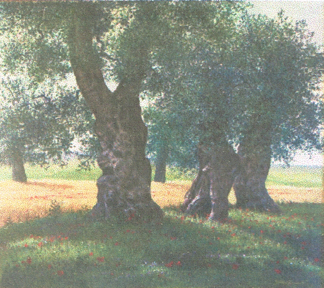 Tommaso Fiermonte - Apulian Landscape
