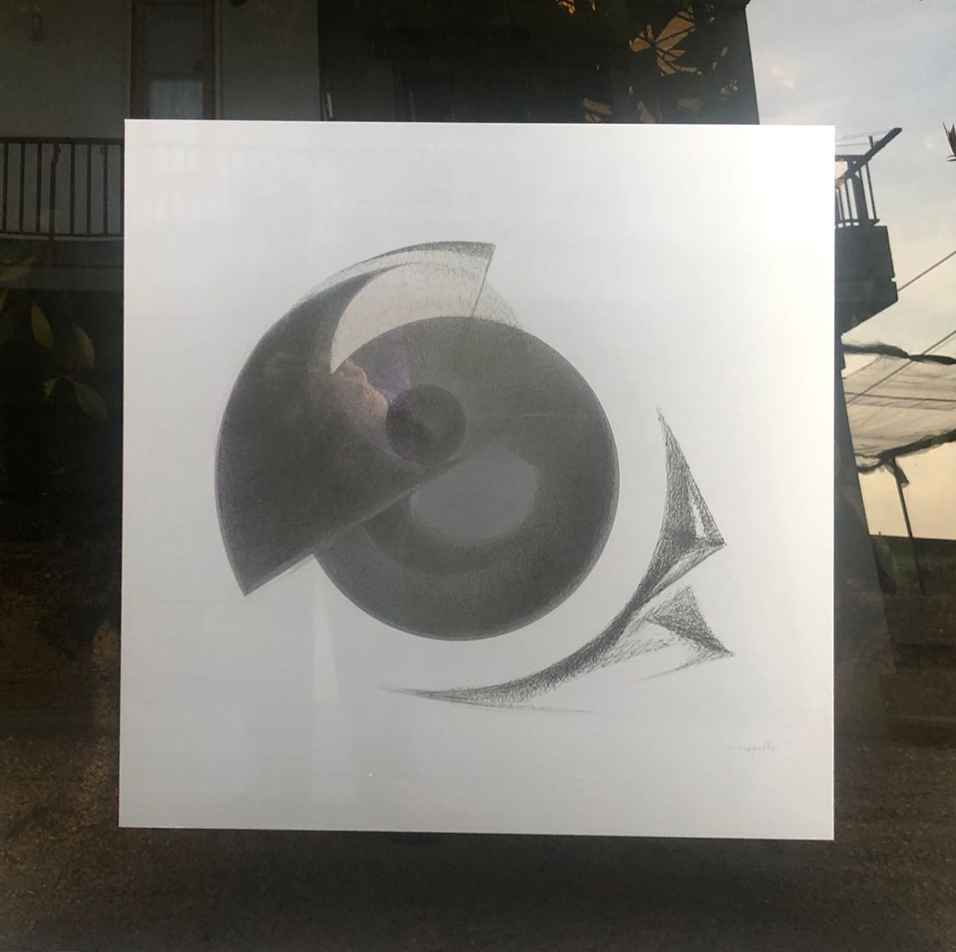 Carmelo Cappello - Free Forms in Space