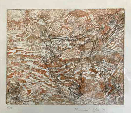 Vittorio Fava - Flujos marinos
