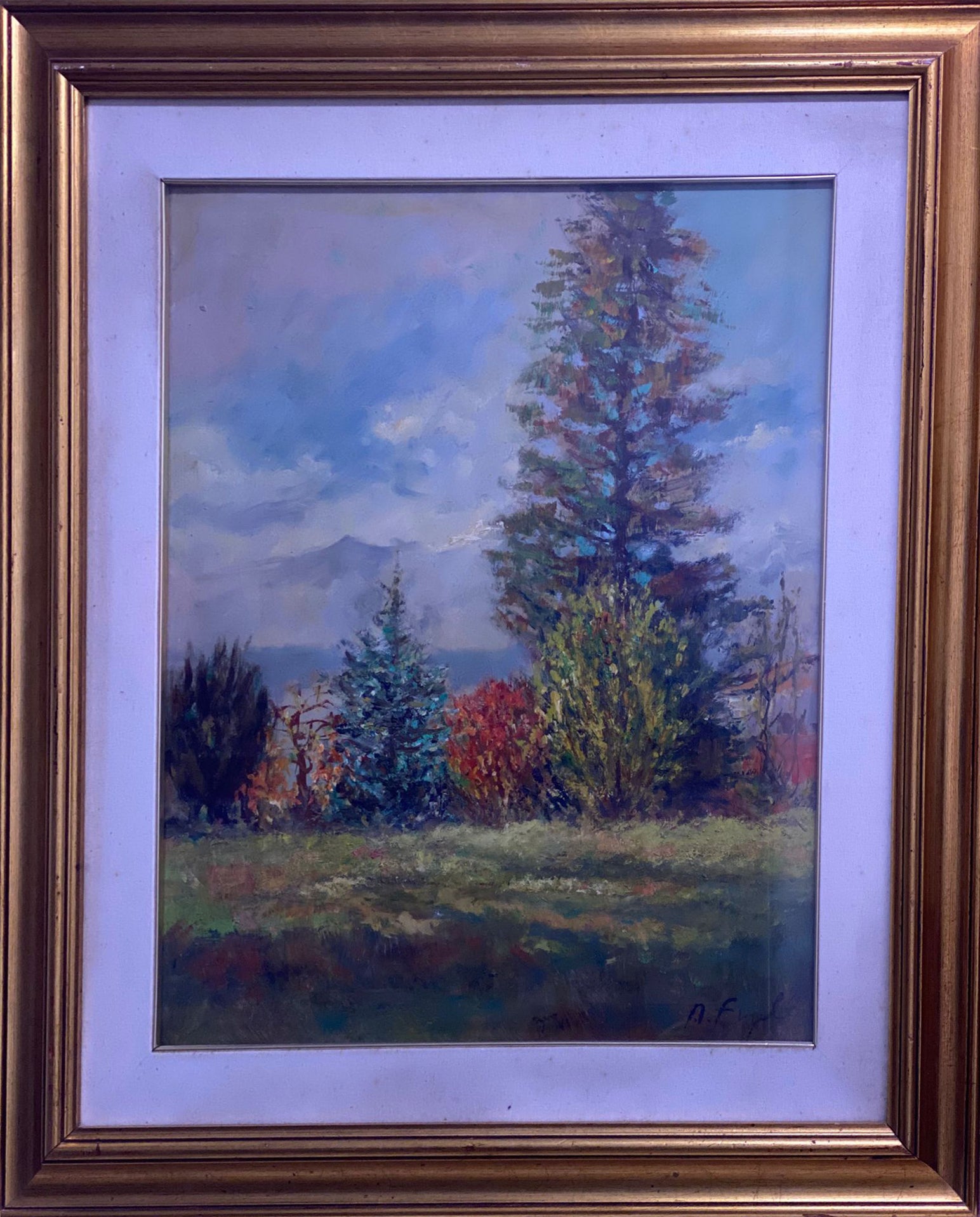 A. Fugalli - Primavera en las montañas