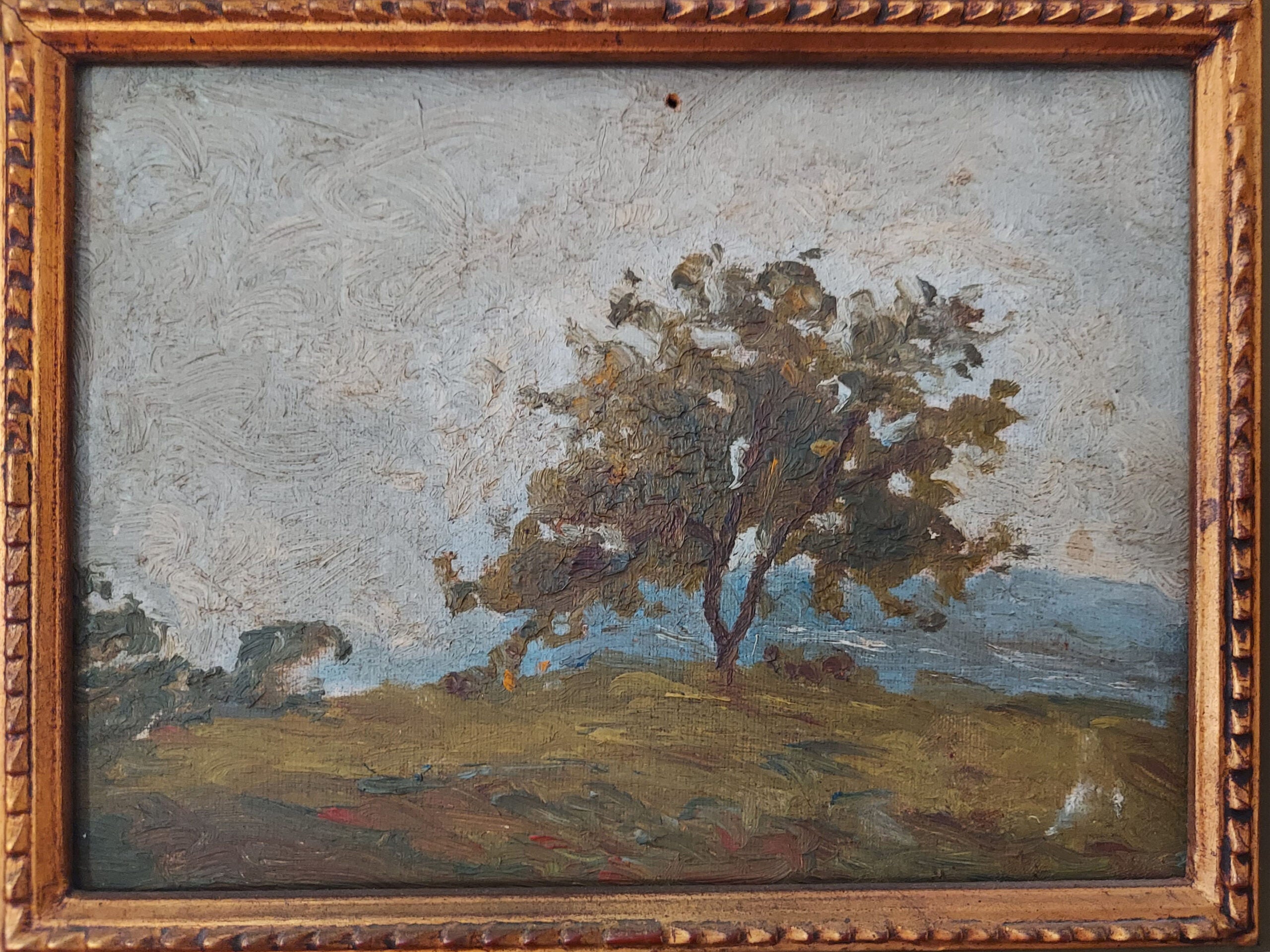 Giambattista Riva - Solto, Lago Iseo