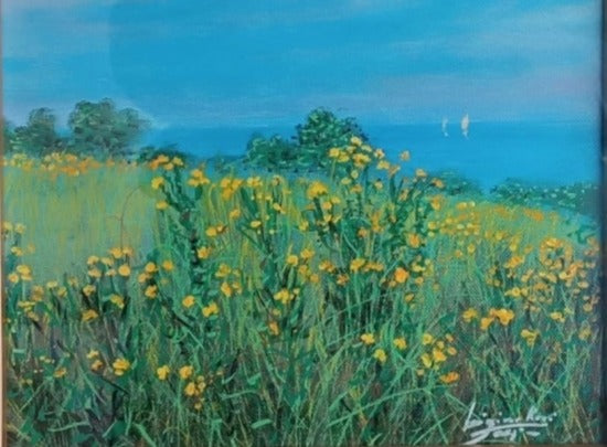Brooms - Luigino Rossi Garzione