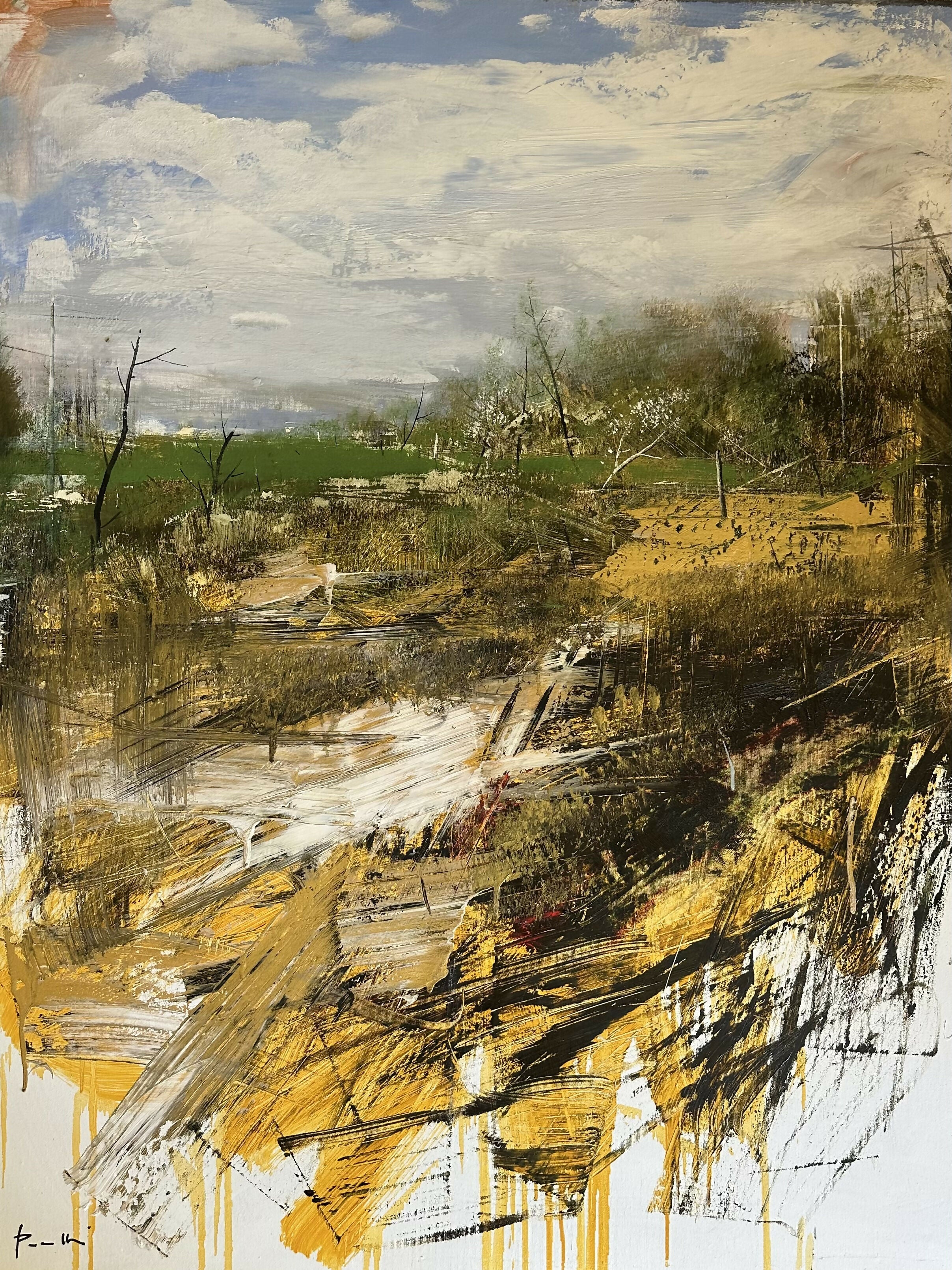Marshy - Antonio Pedretti 