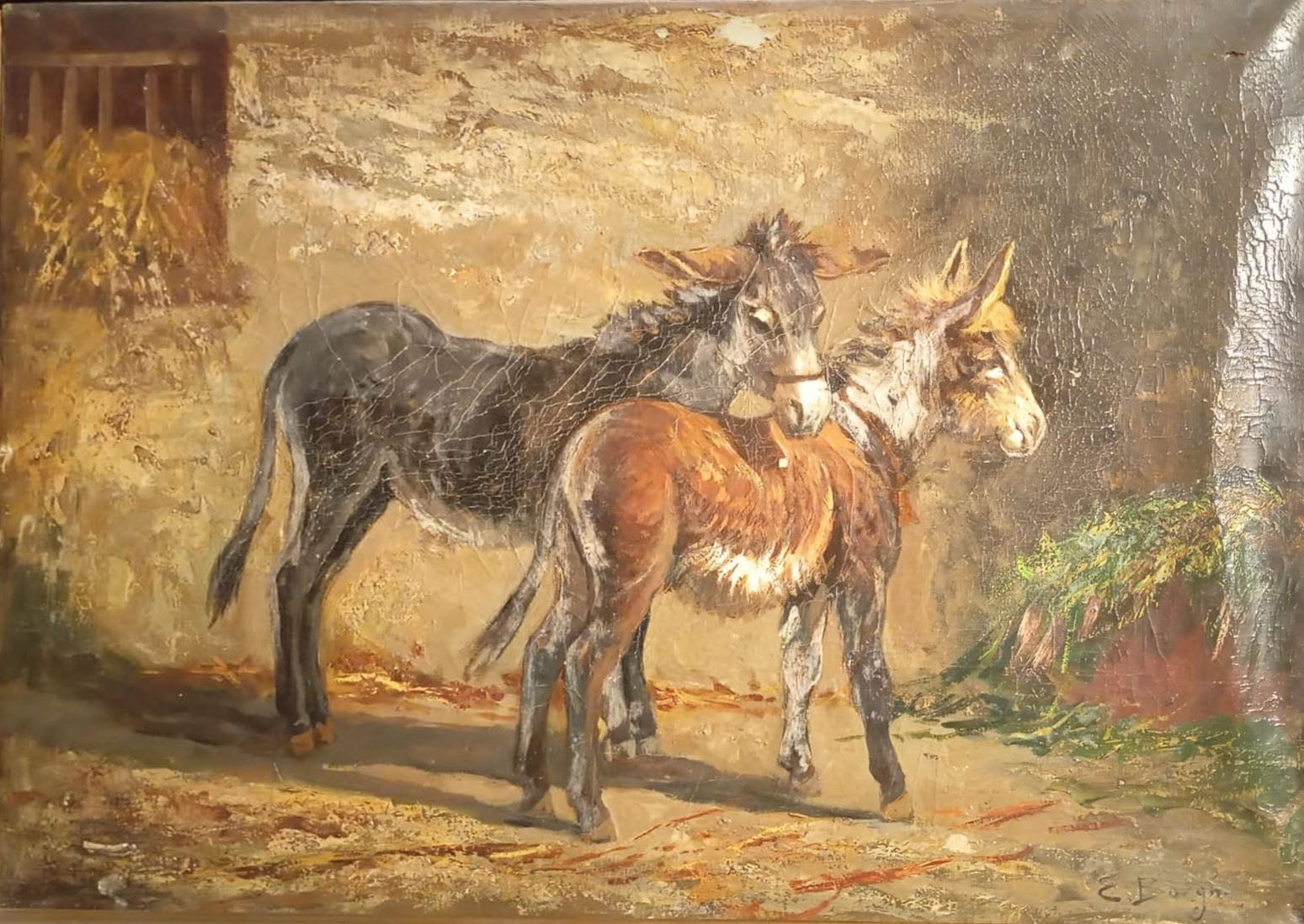 E. Borghi - Untitled (Donkeys)