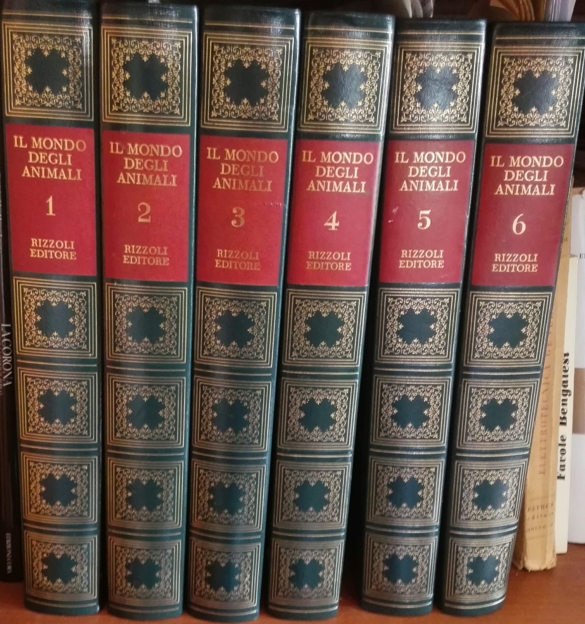 EL MUNDO DE LOS ANIMALES - 6 VOLÚMENES - RIZZOLI EDITORE
