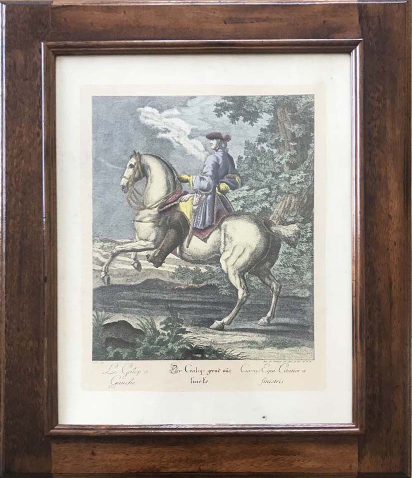 De Johann Elias Ridinger - Escuela de equitación