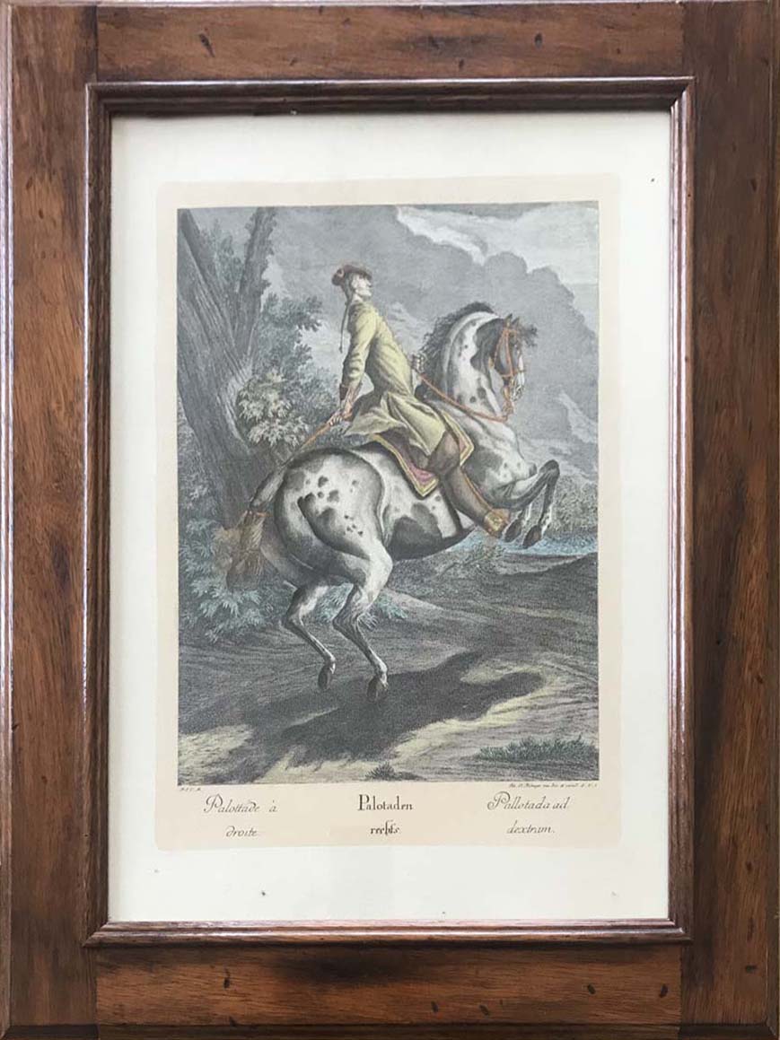 De Johan Elias Ridinger - Escuela de Equitación