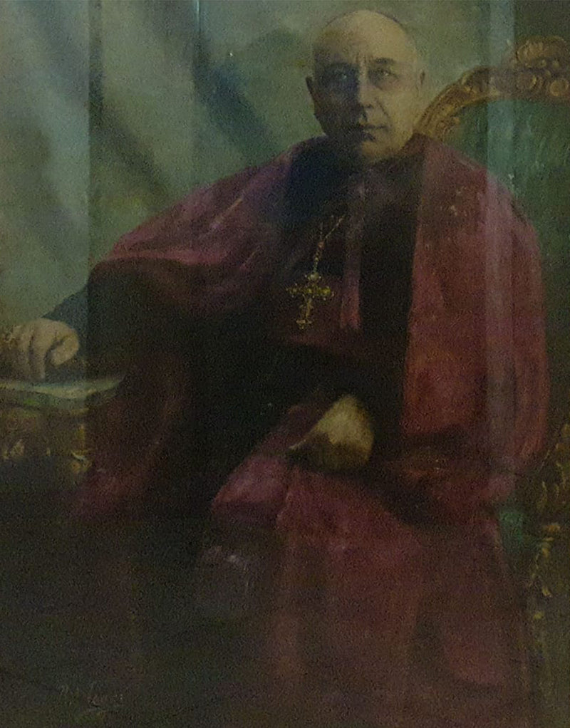 R. Negri - The Cardinal