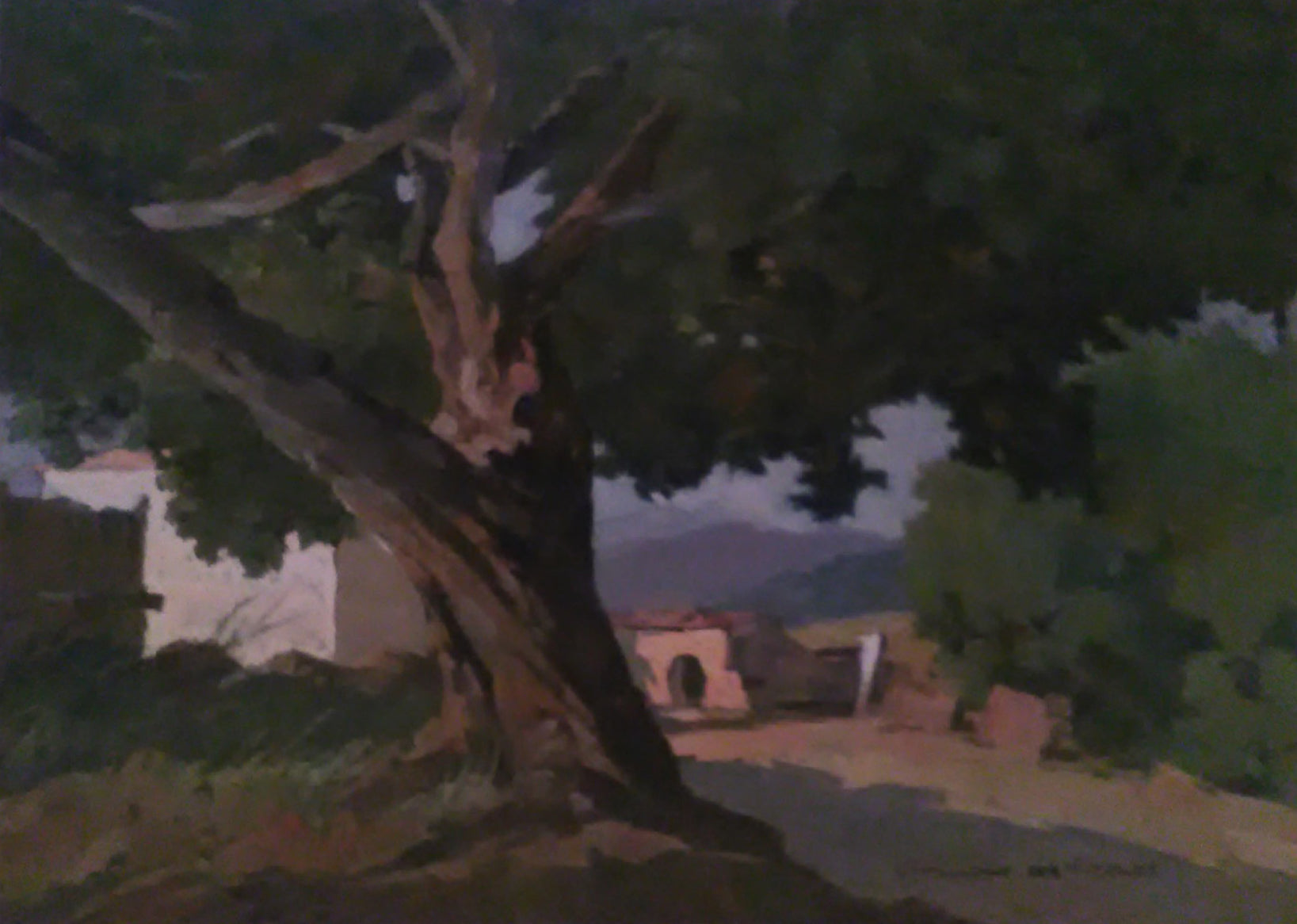 Claudio Da Firenze - Valdana, the carob tree