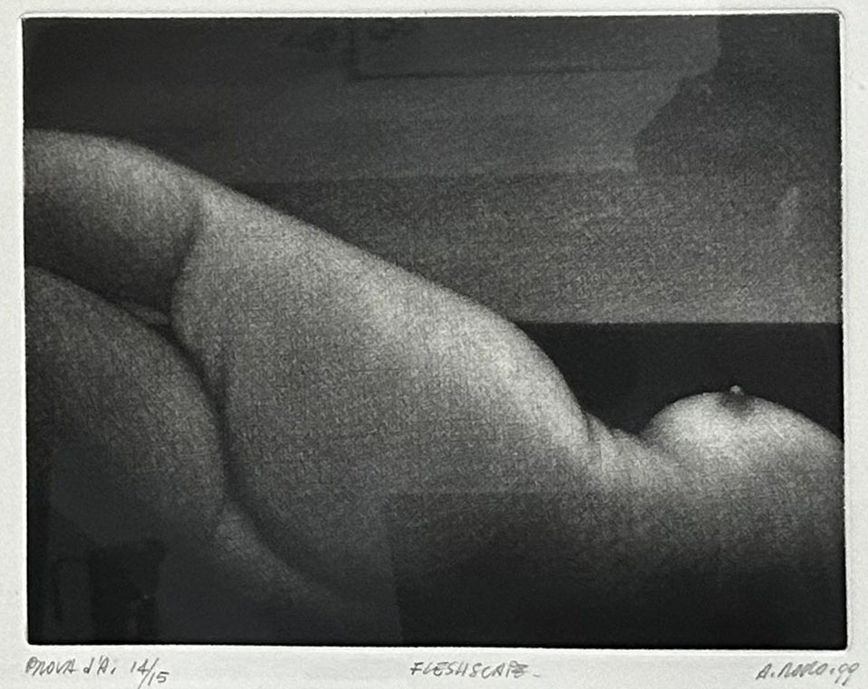 Alberto Rocco - Capa de carne