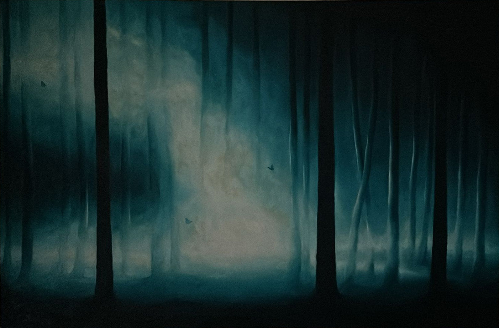 Ernesto Morales - Mariposas in the woods