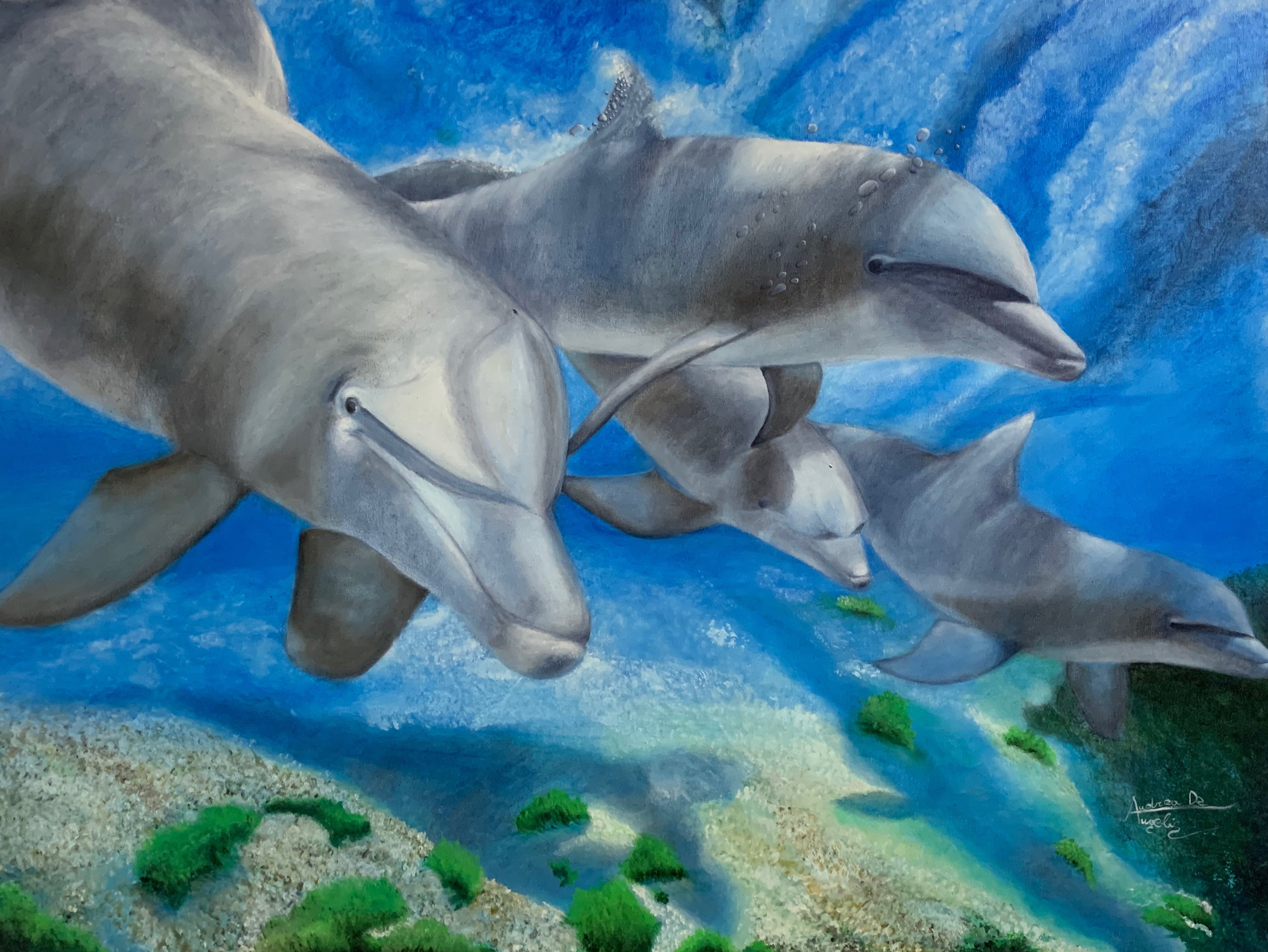 Andrea De Angelis - Dolphins