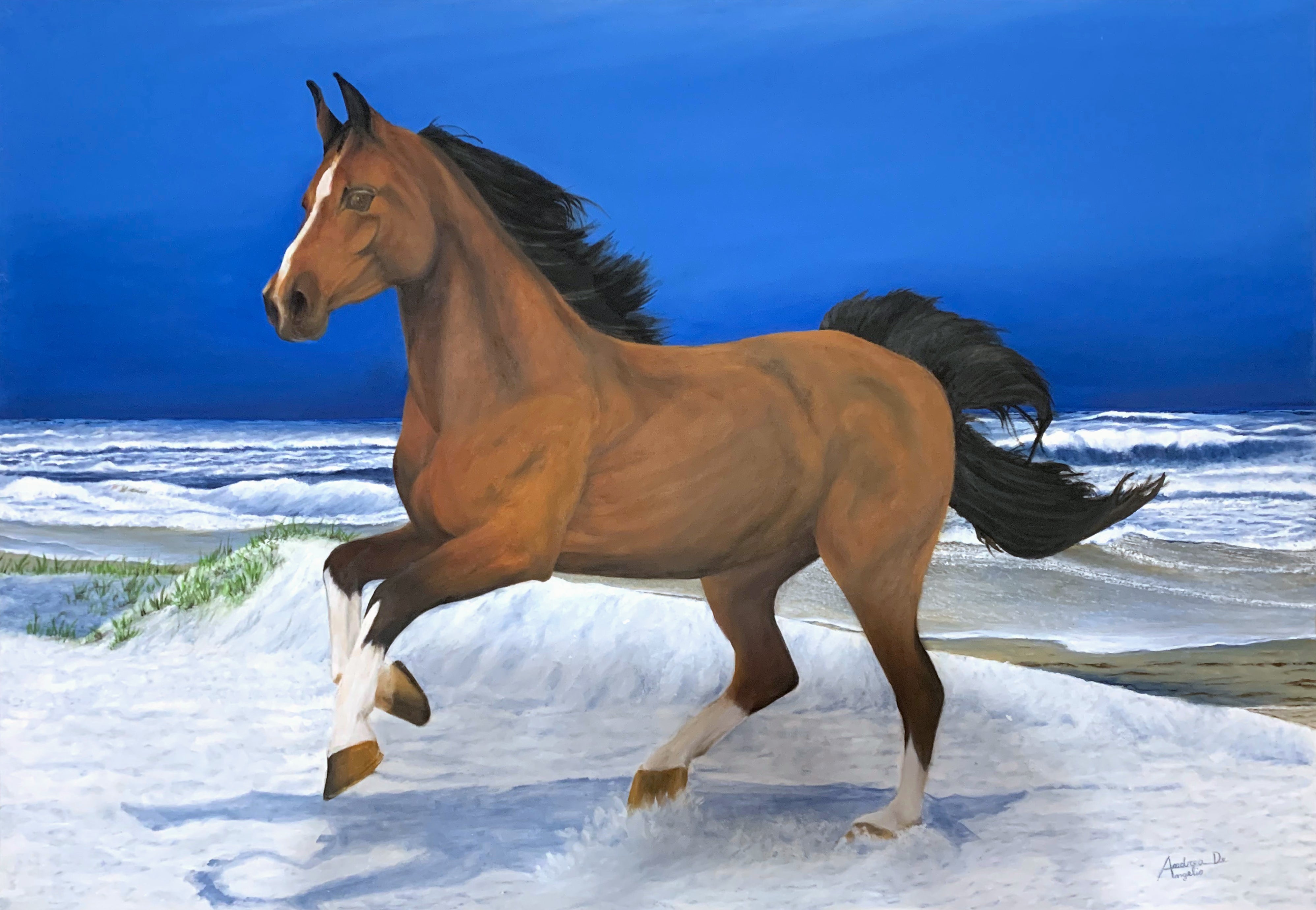 Andrea De Angelis - Horse