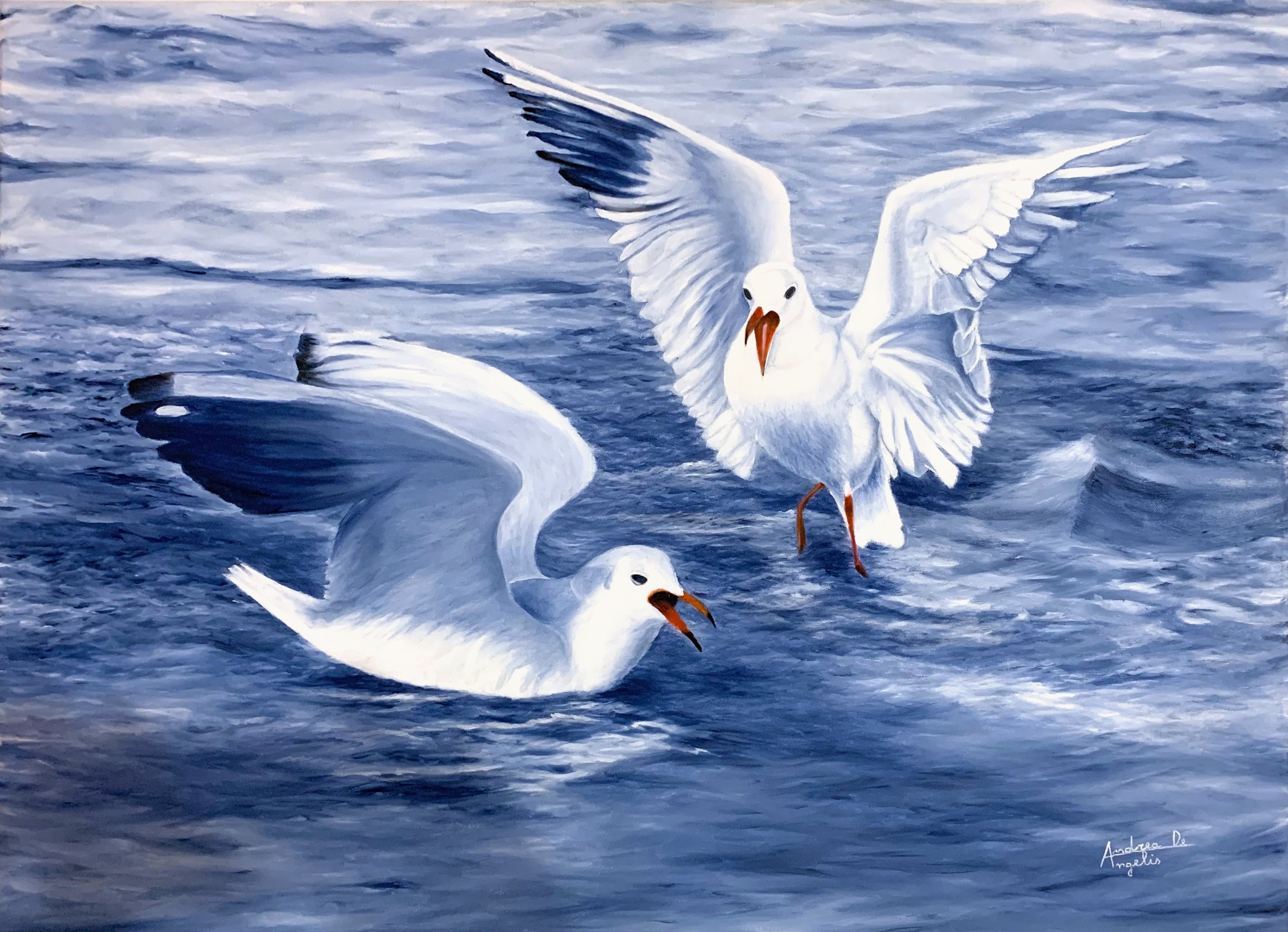 Andrea De Angelis - Seagulls