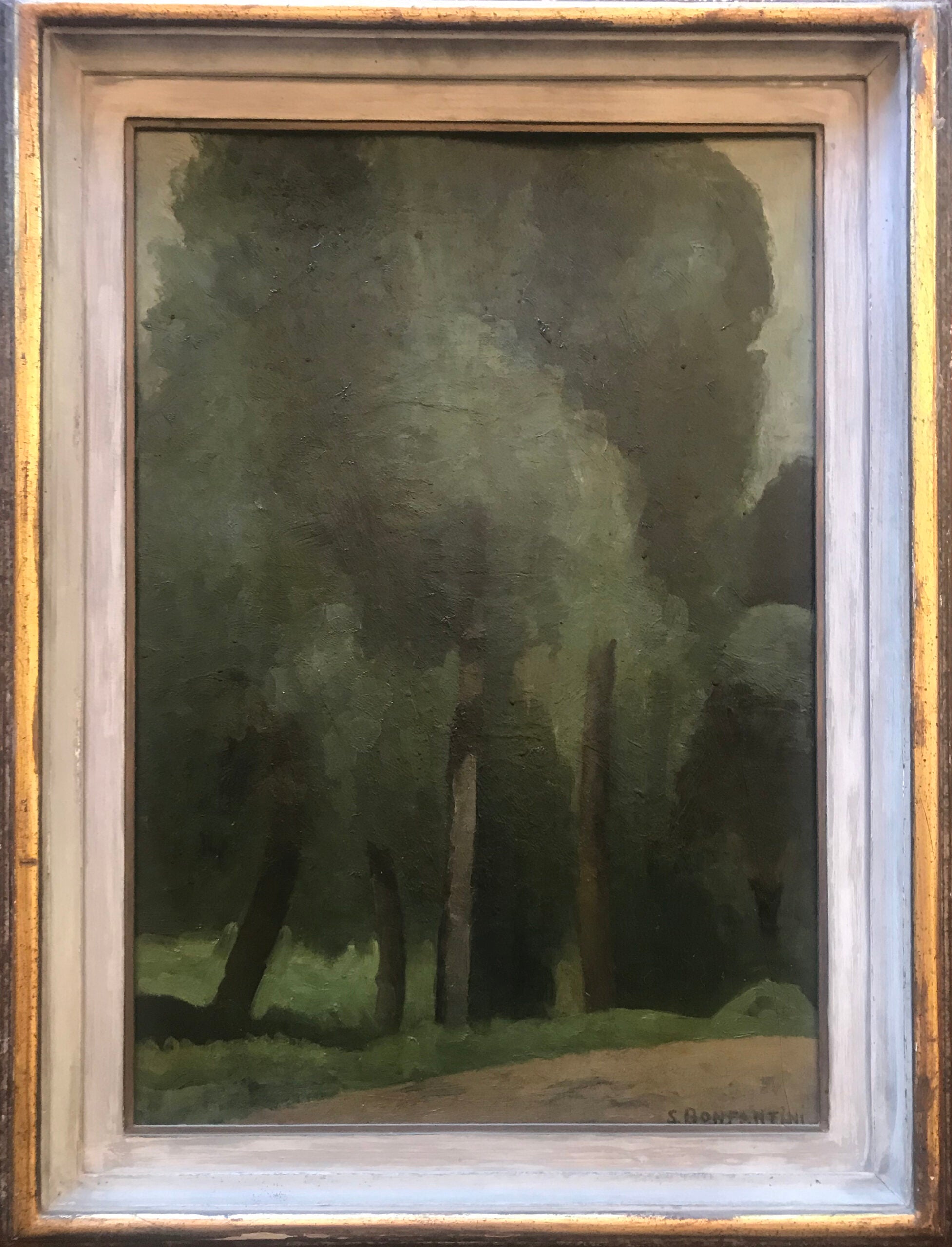 Sergio Bonfantini - Plants