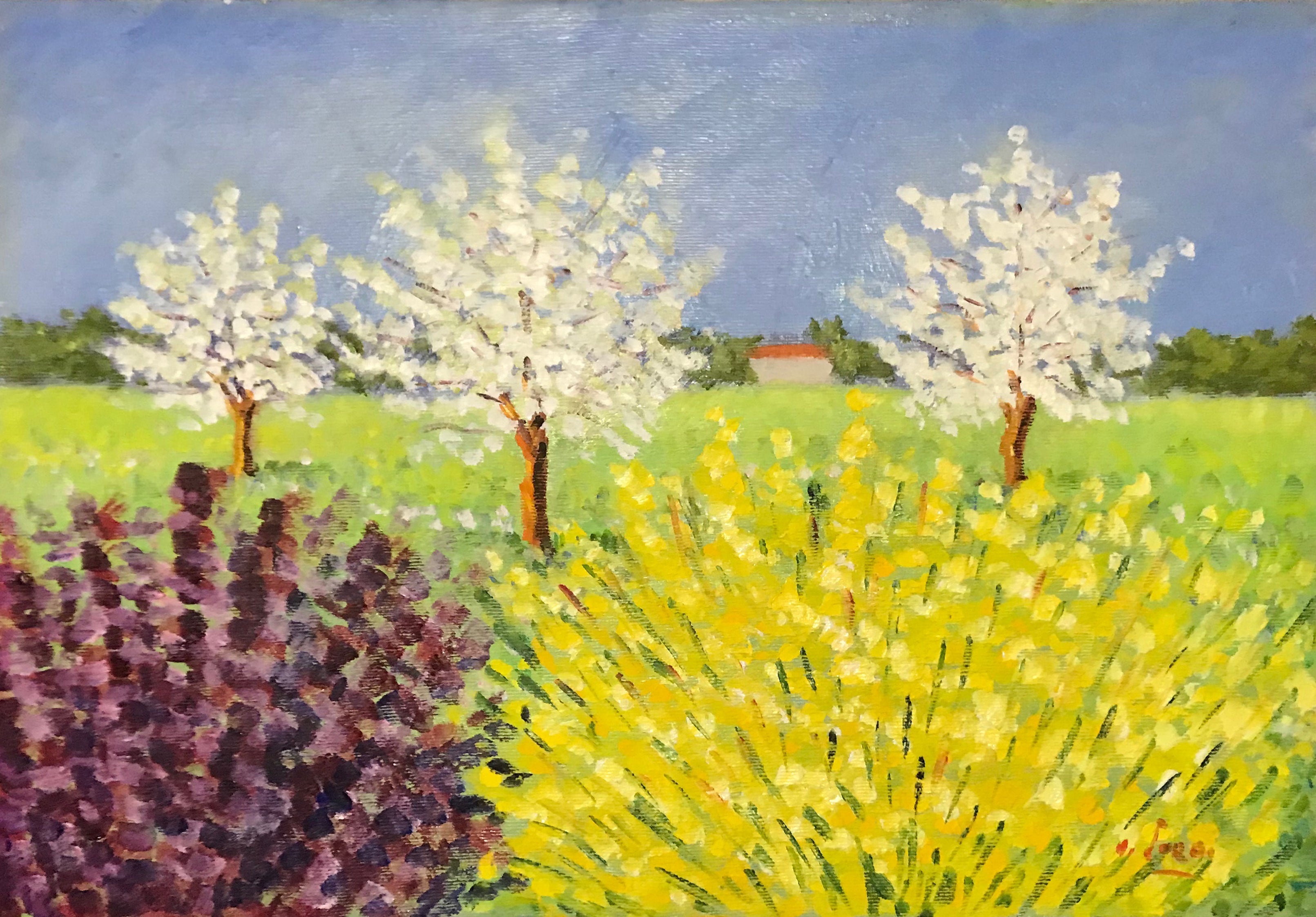 Antonello Lorai - Primavera